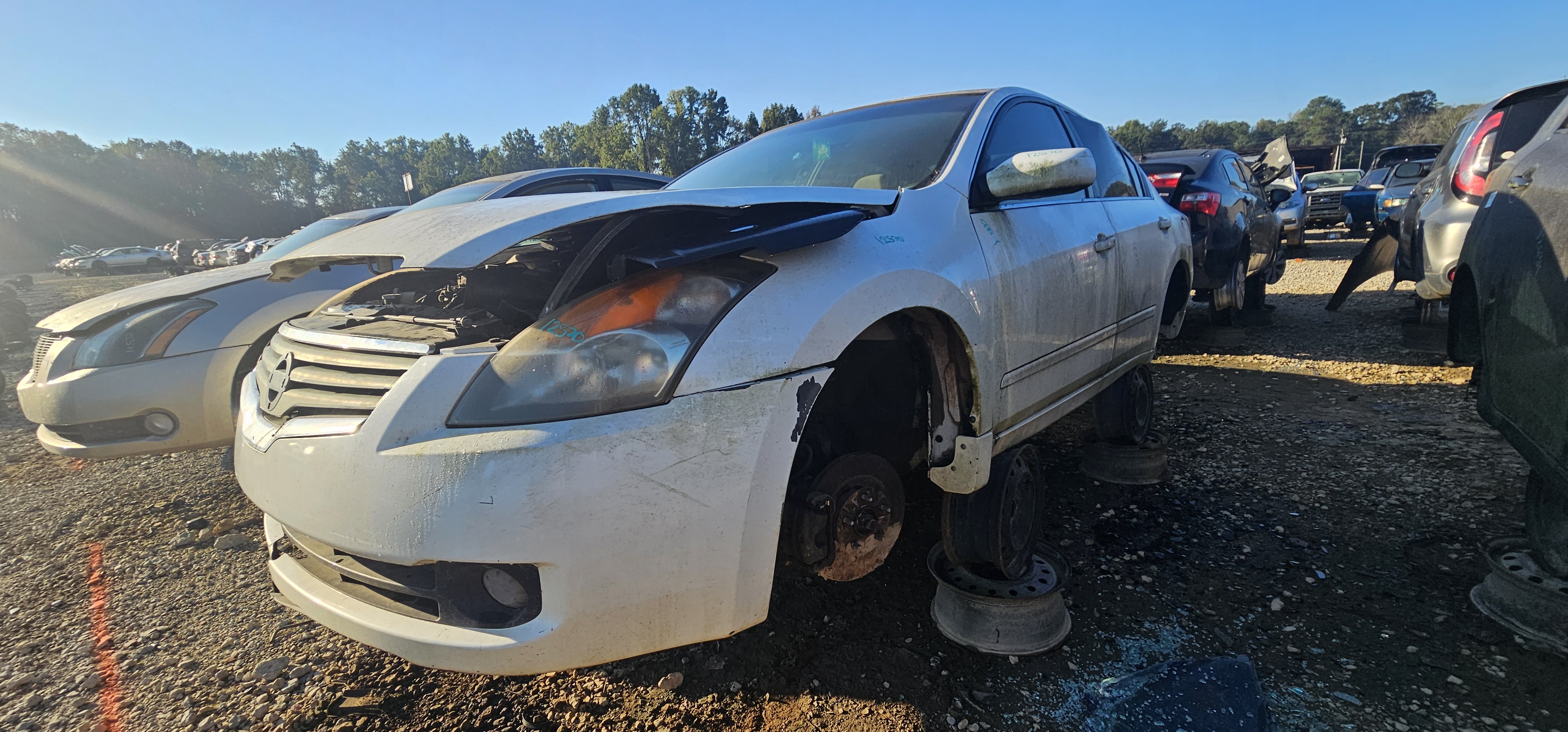2009 NISSAN Altima