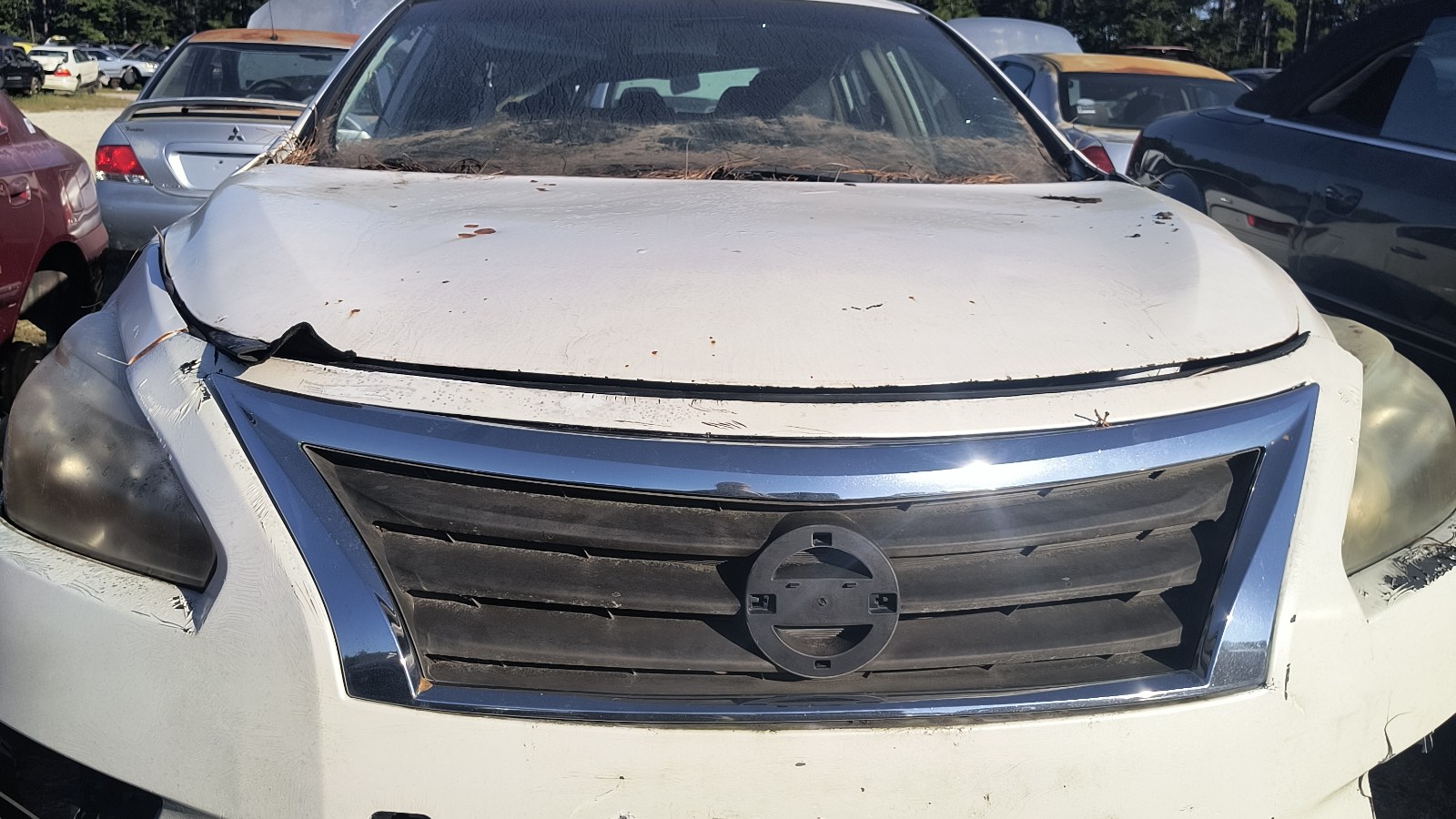 2013 NISSAN Altima