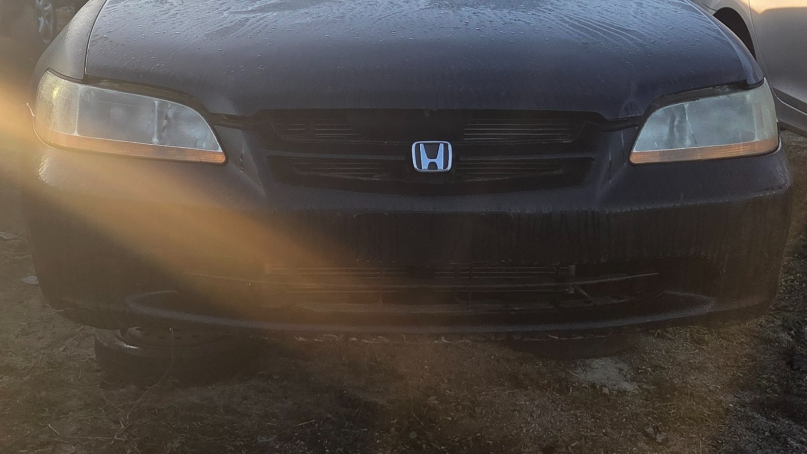1999 HONDA Accord