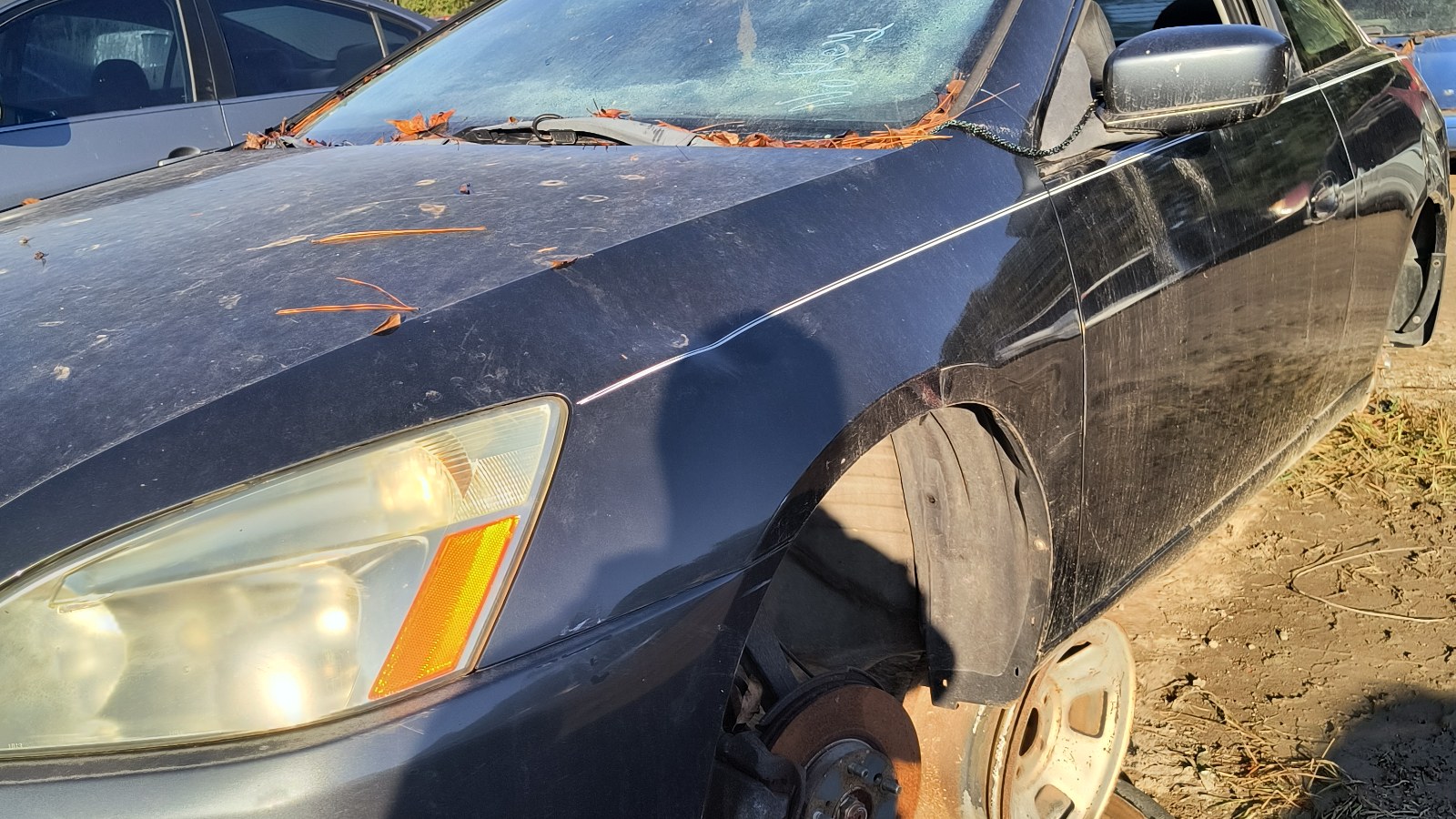 2003 HONDA Accord