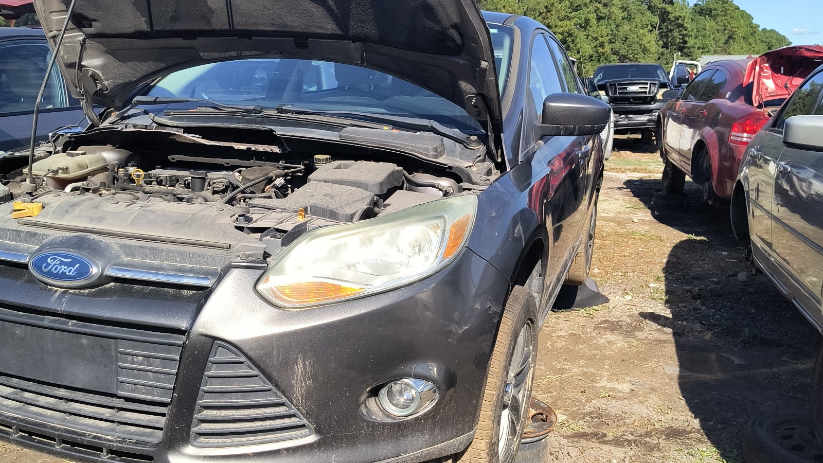 2012 FORD Focus