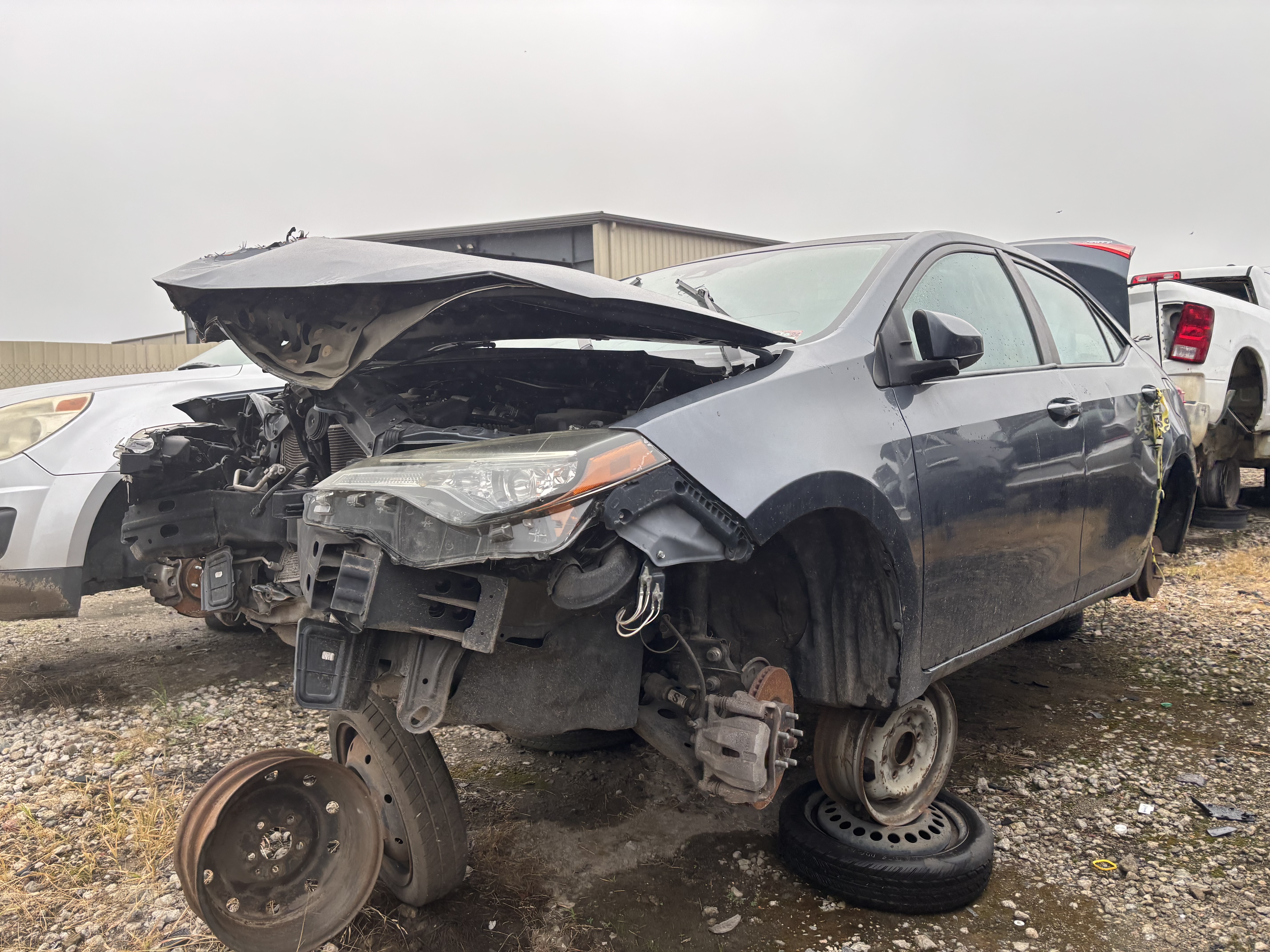 2019 TOYOTA Corolla
