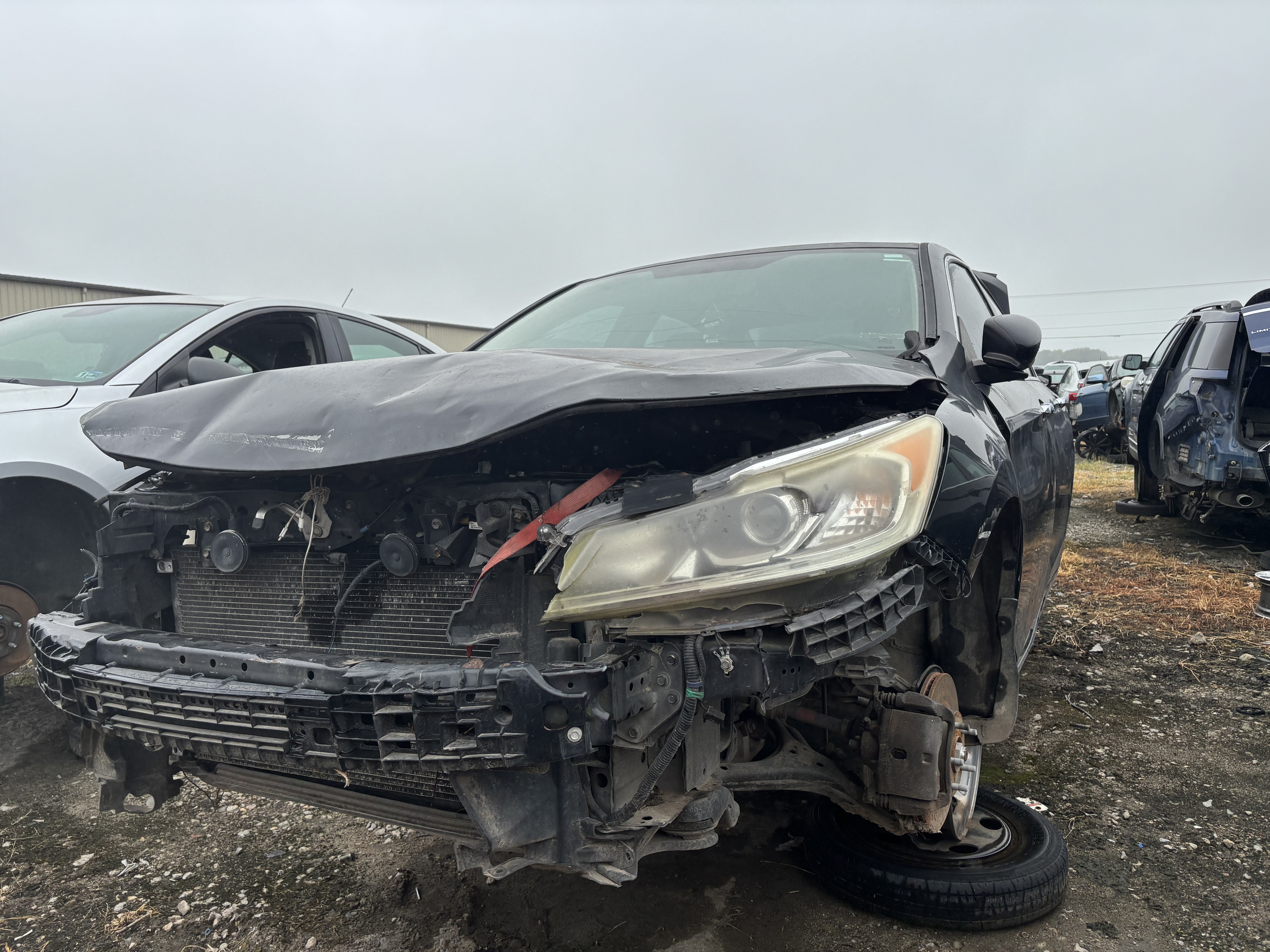 2016 HONDA Accord