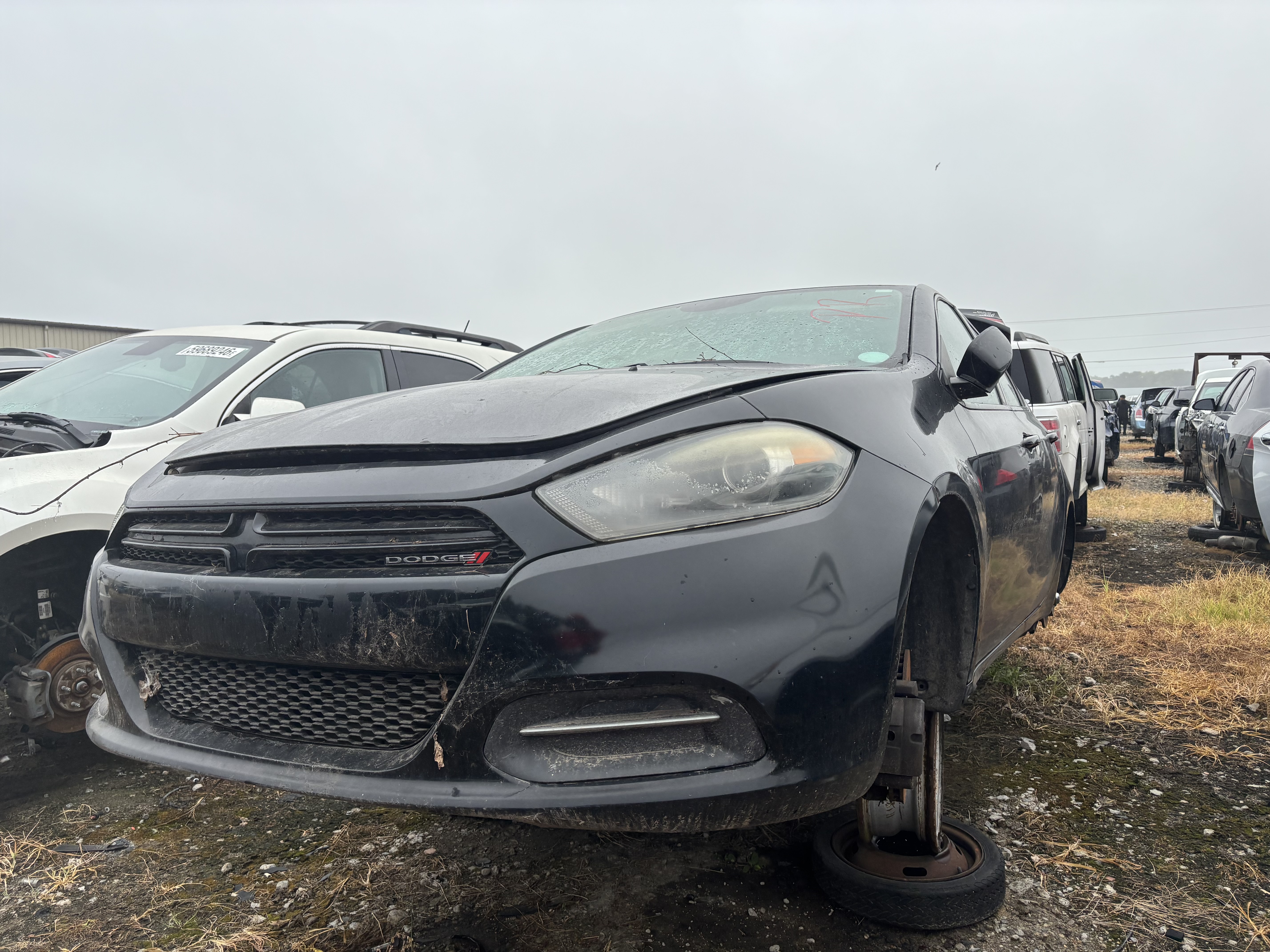 2016 DODGE Dart