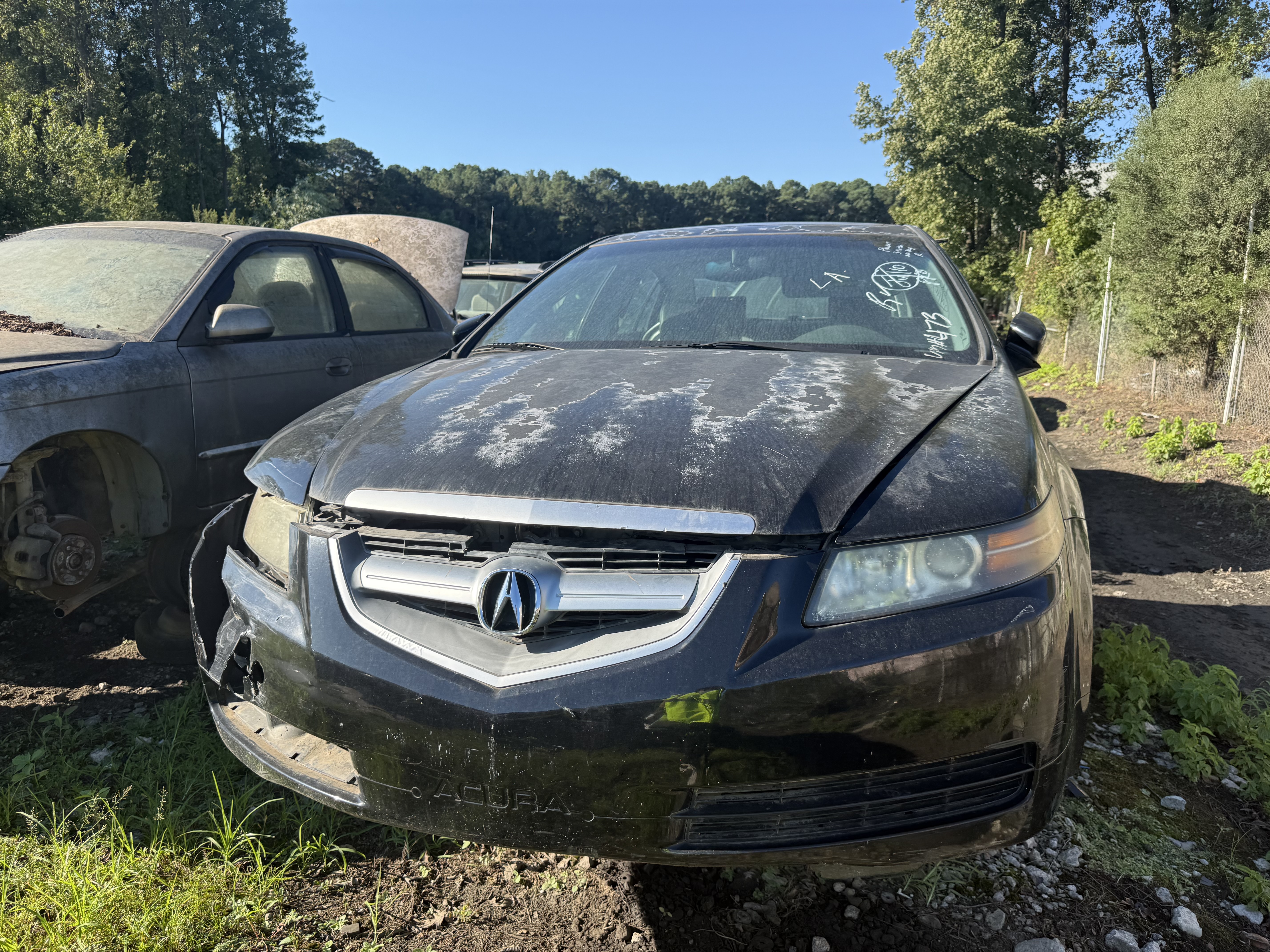 2006 ACURA Tl
