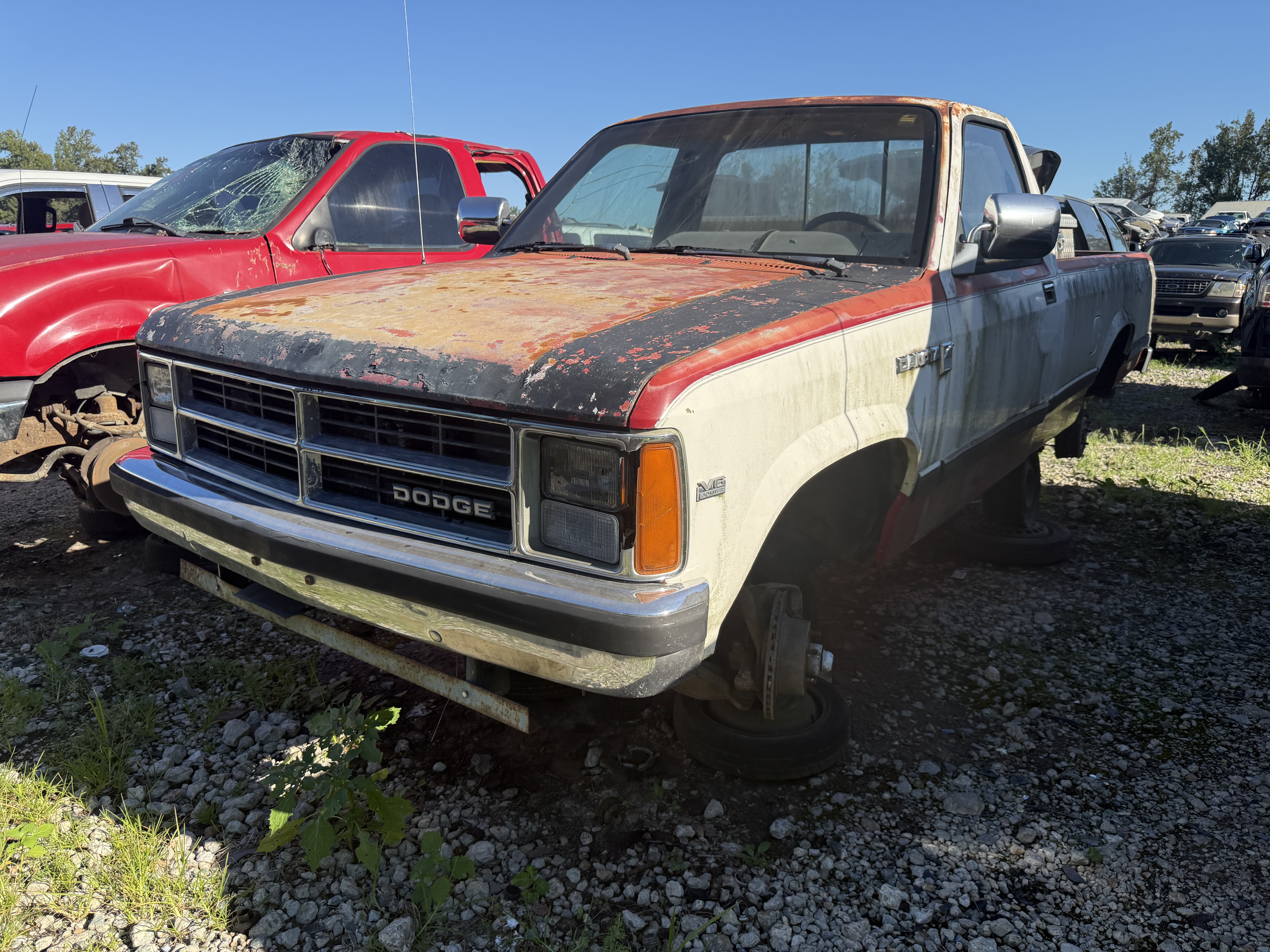1989 DODGE Dakota