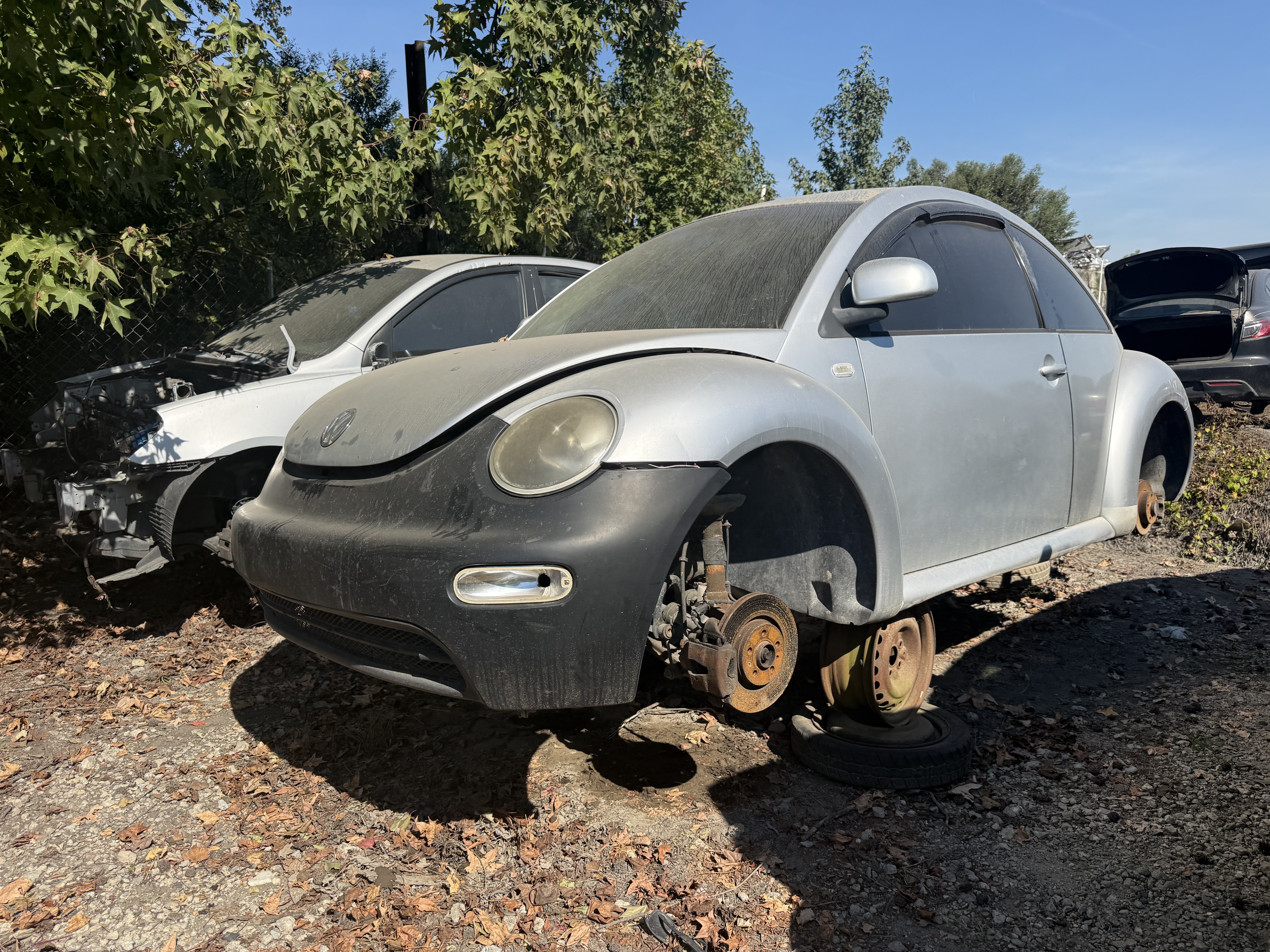 2000 VOLKSWAGEN Beetle