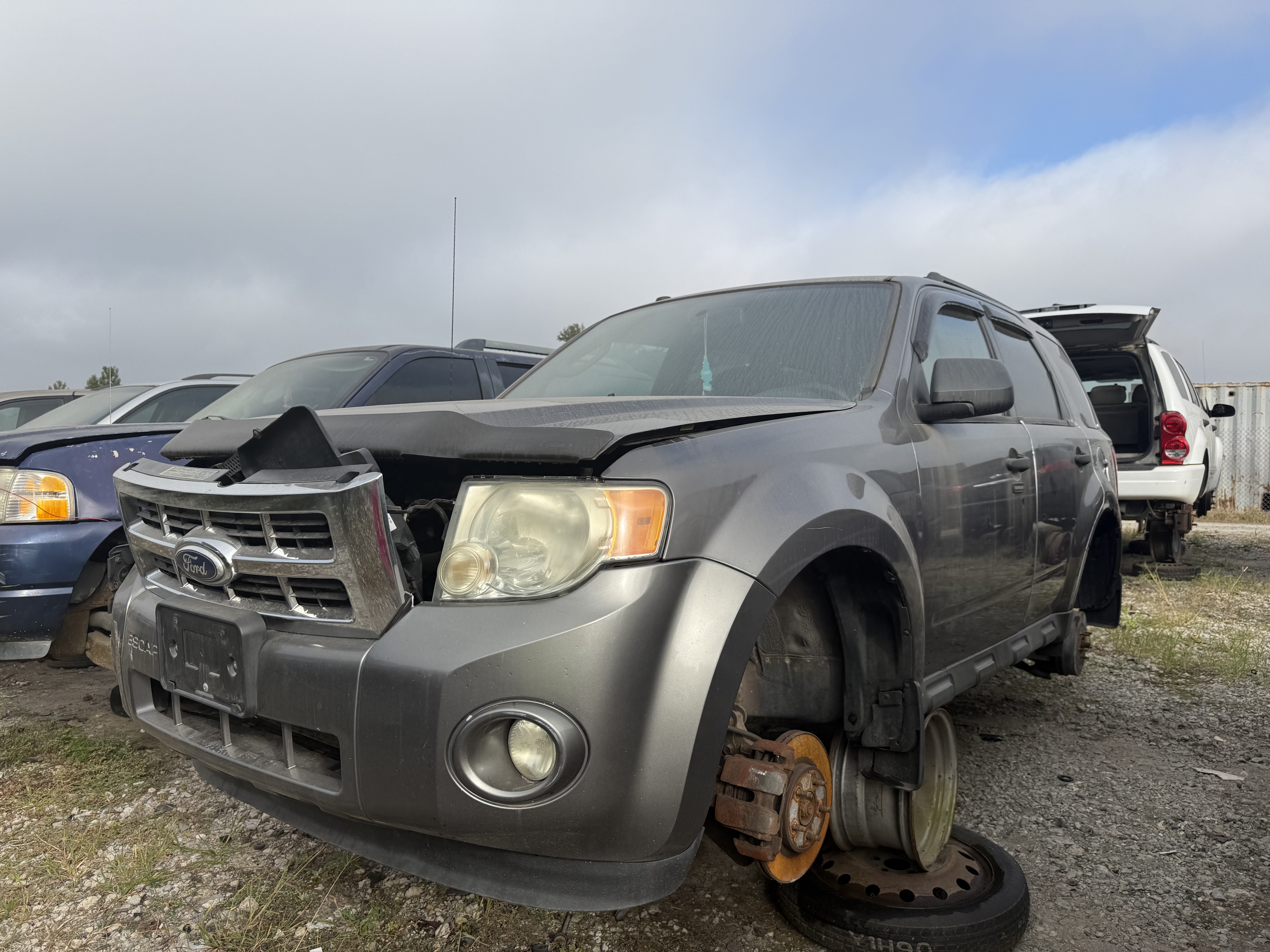 2010 FORD Escape