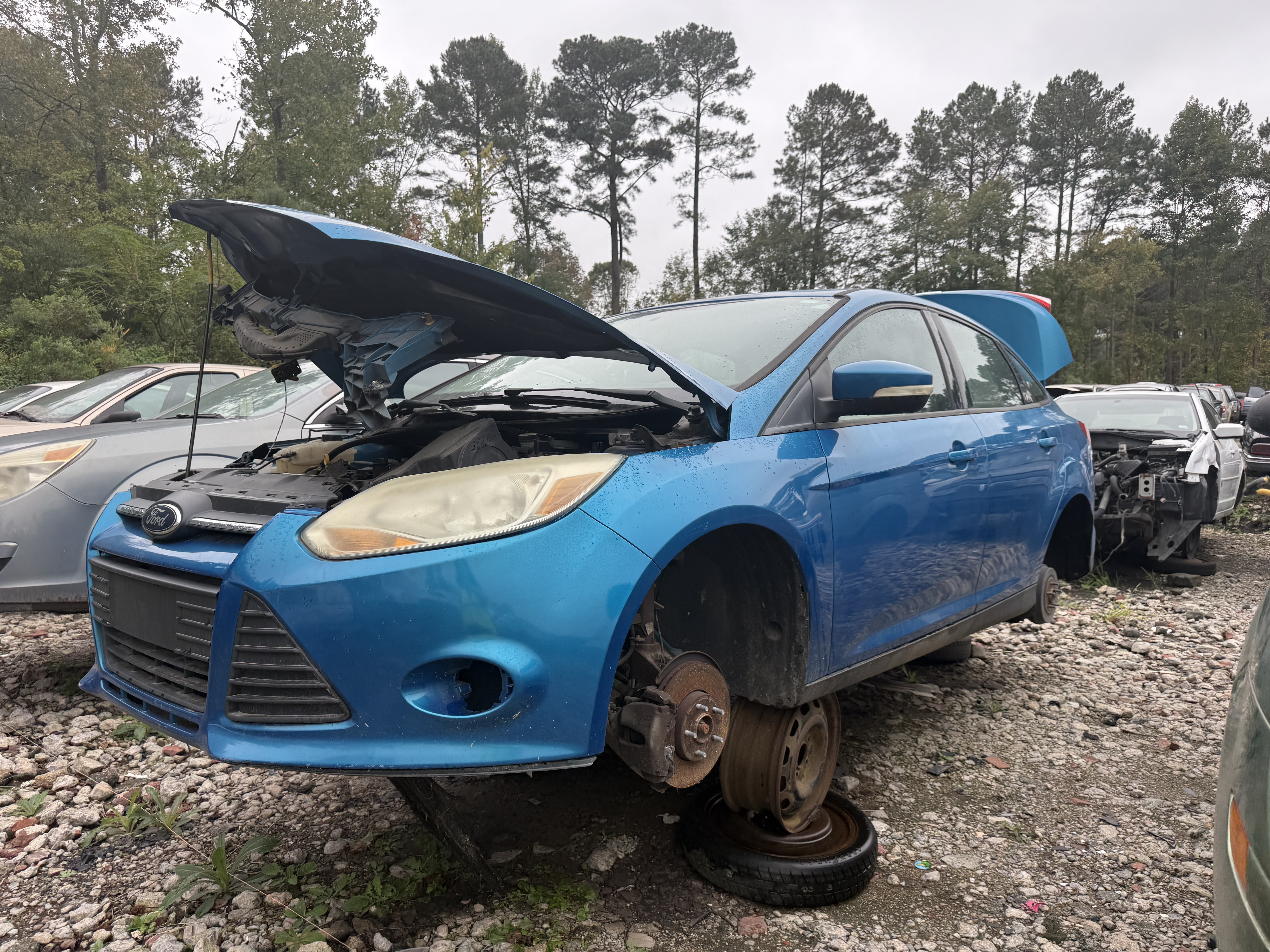 2013 FORD Focus