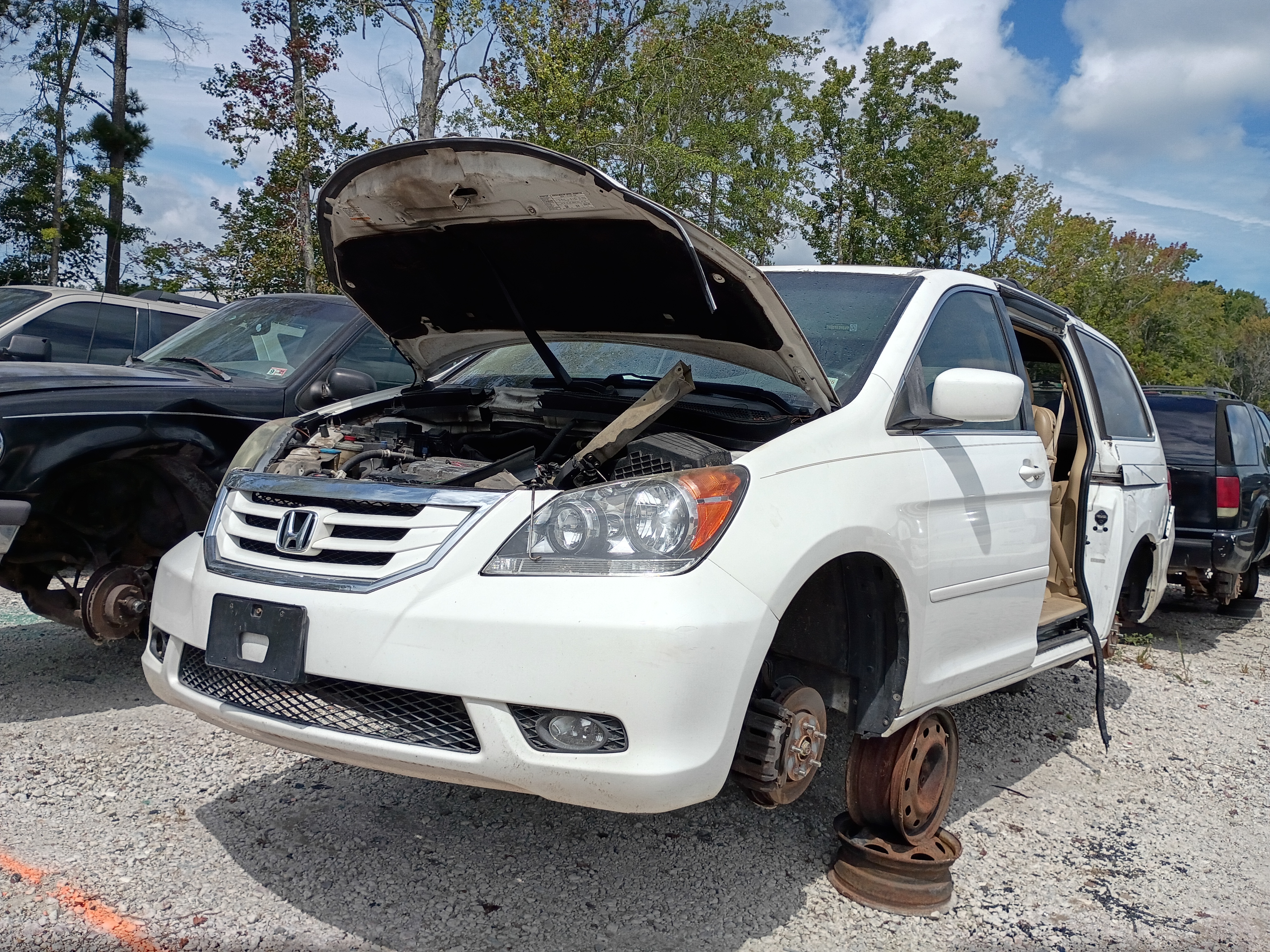 2009 HONDA Odyssey