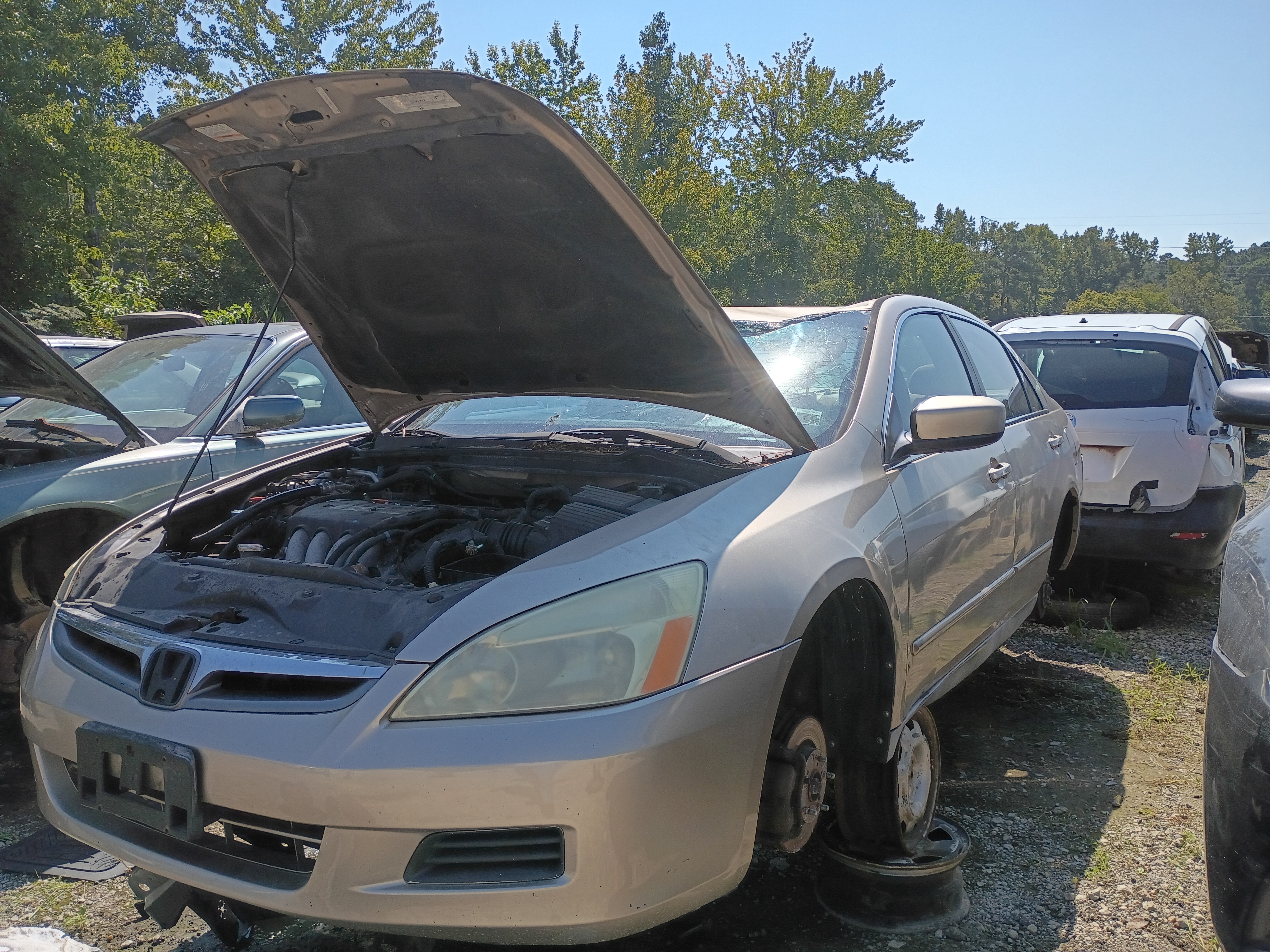 2006 HONDA Accord