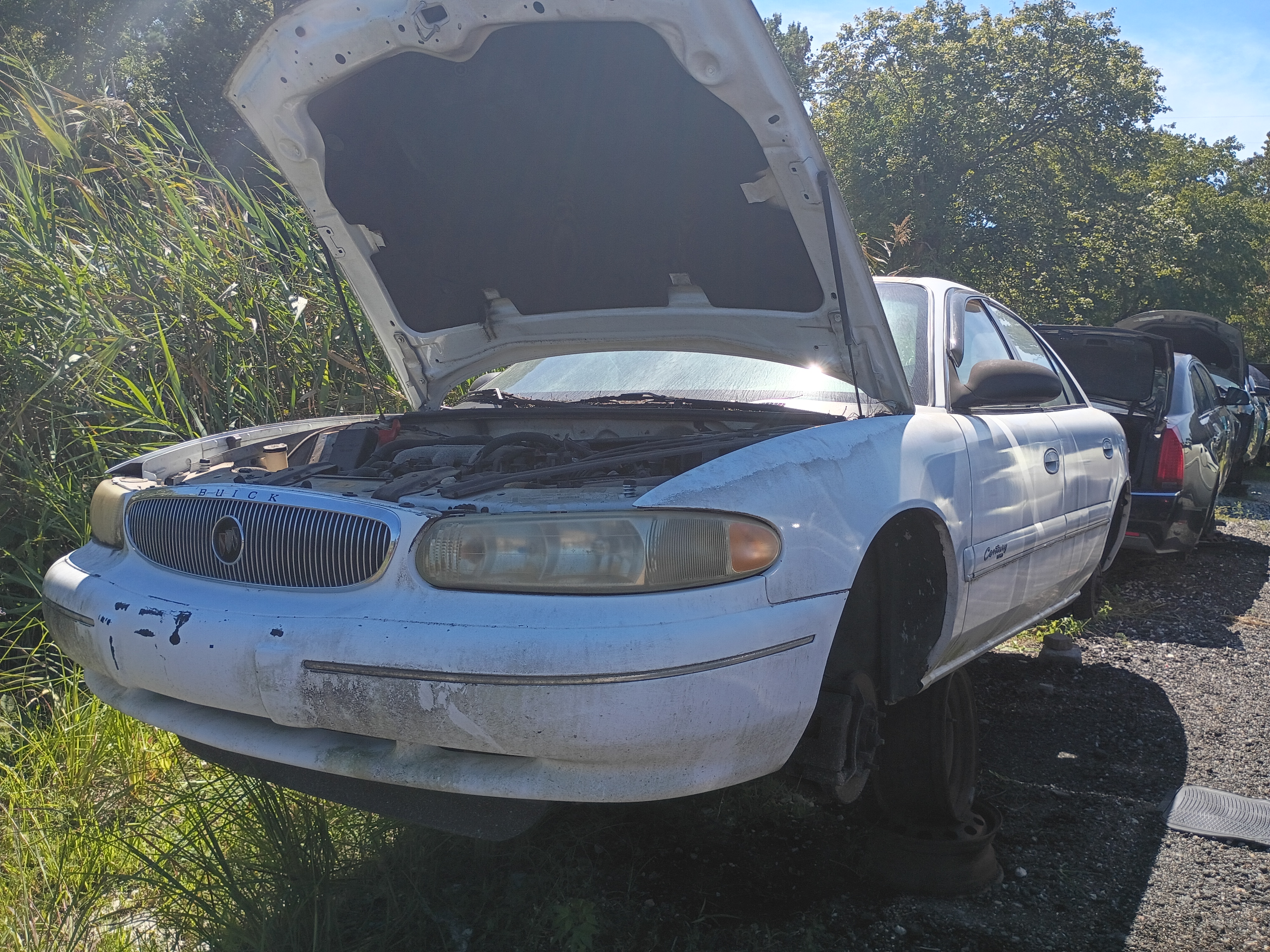 1999 BUICK Century