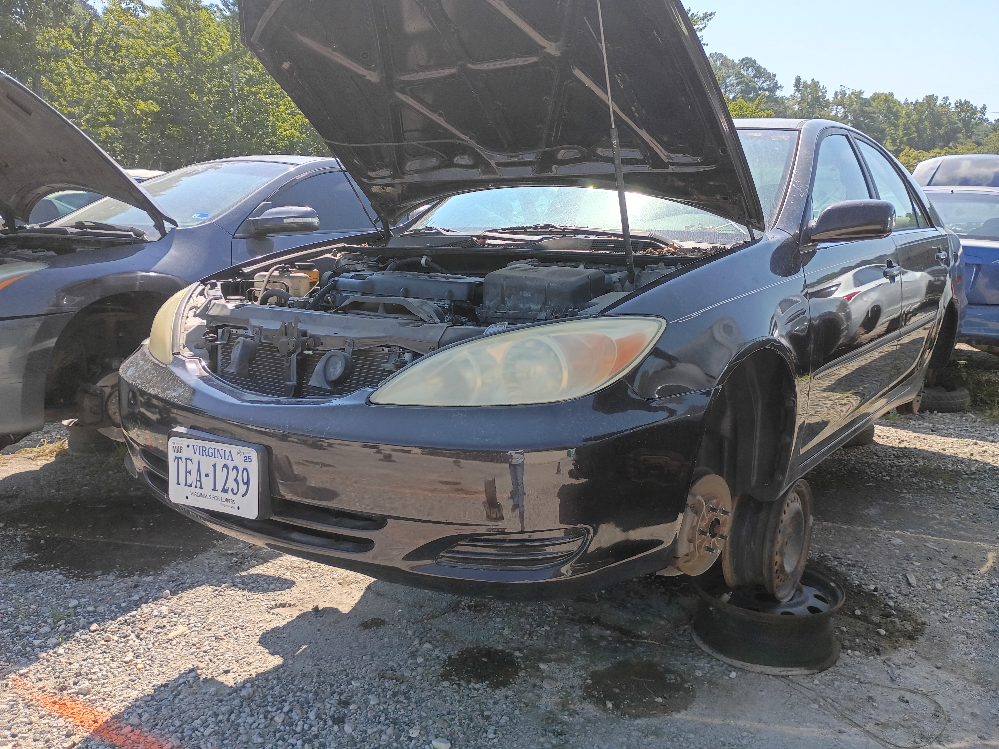 2002 TOYOTA Camry