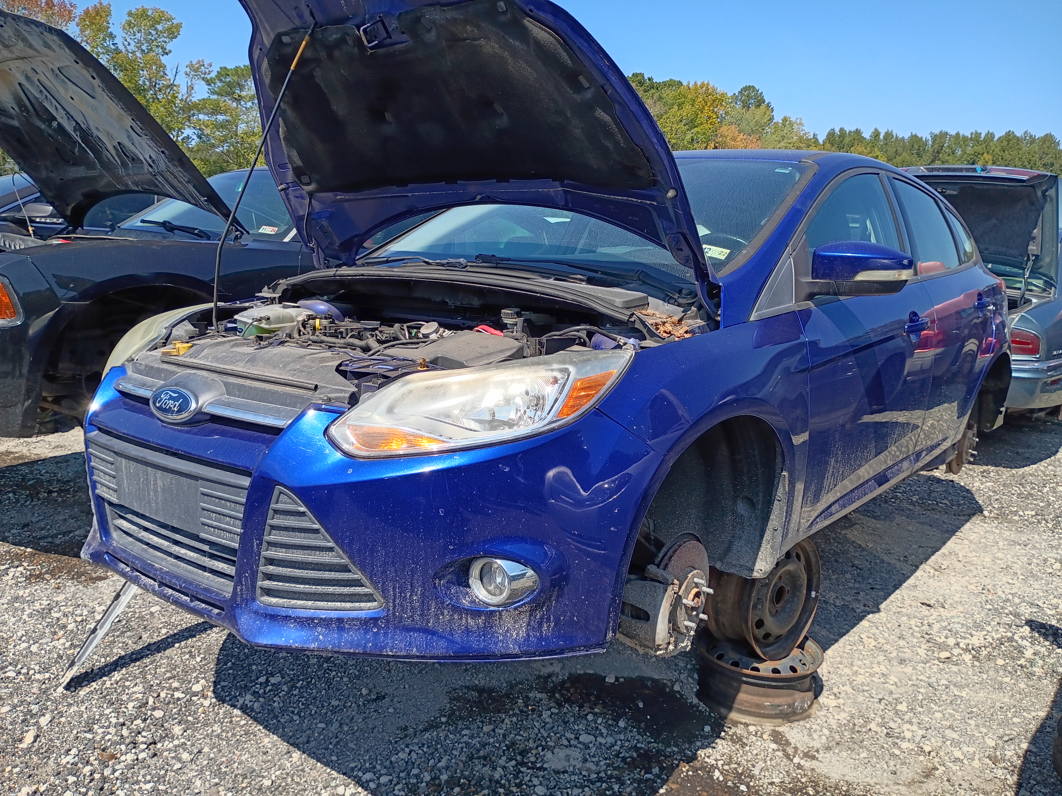 2014 FORD Focus