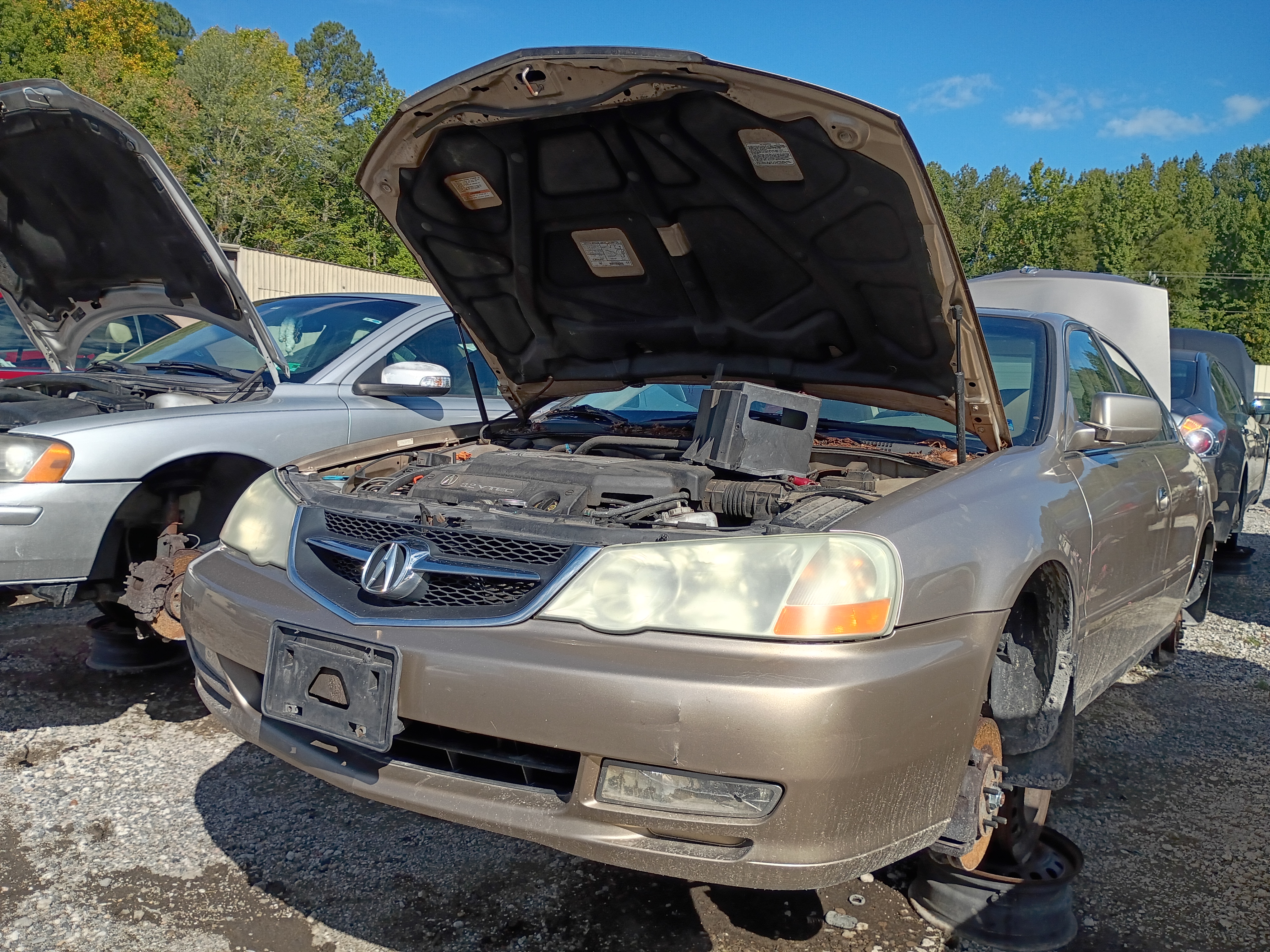 2003 ACURA Tl