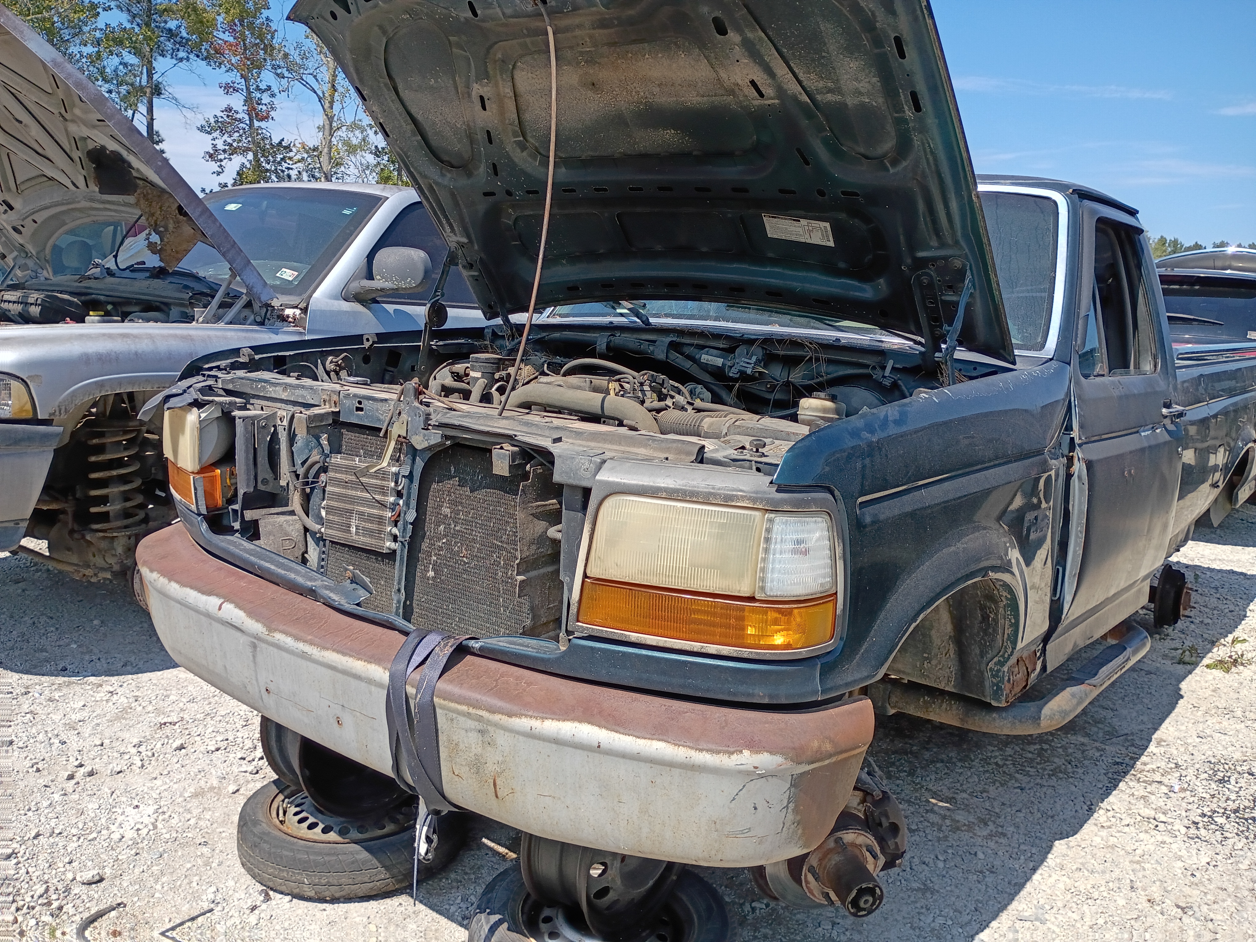 1995 FORD F-150
