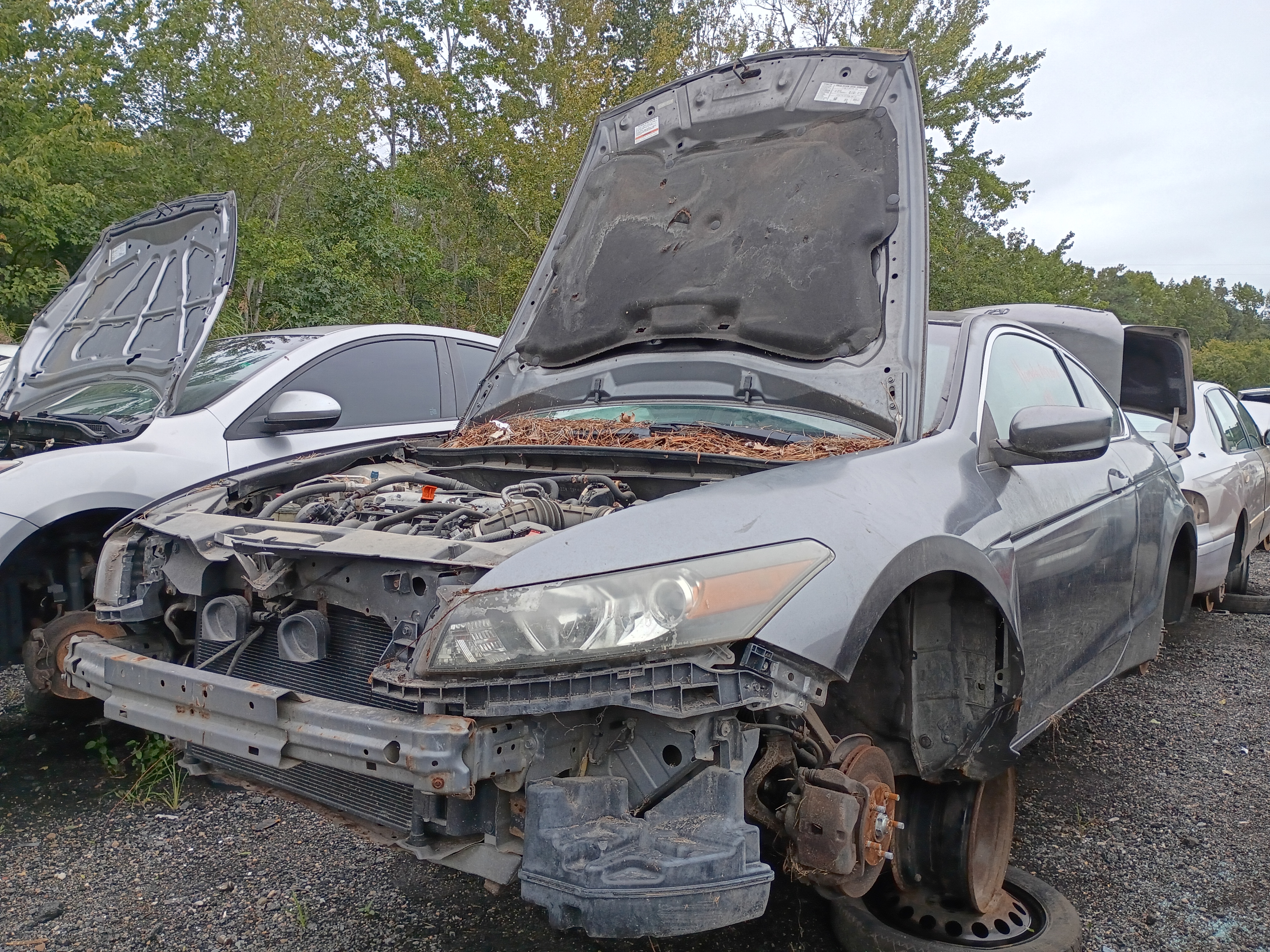 2009 HONDA Accord