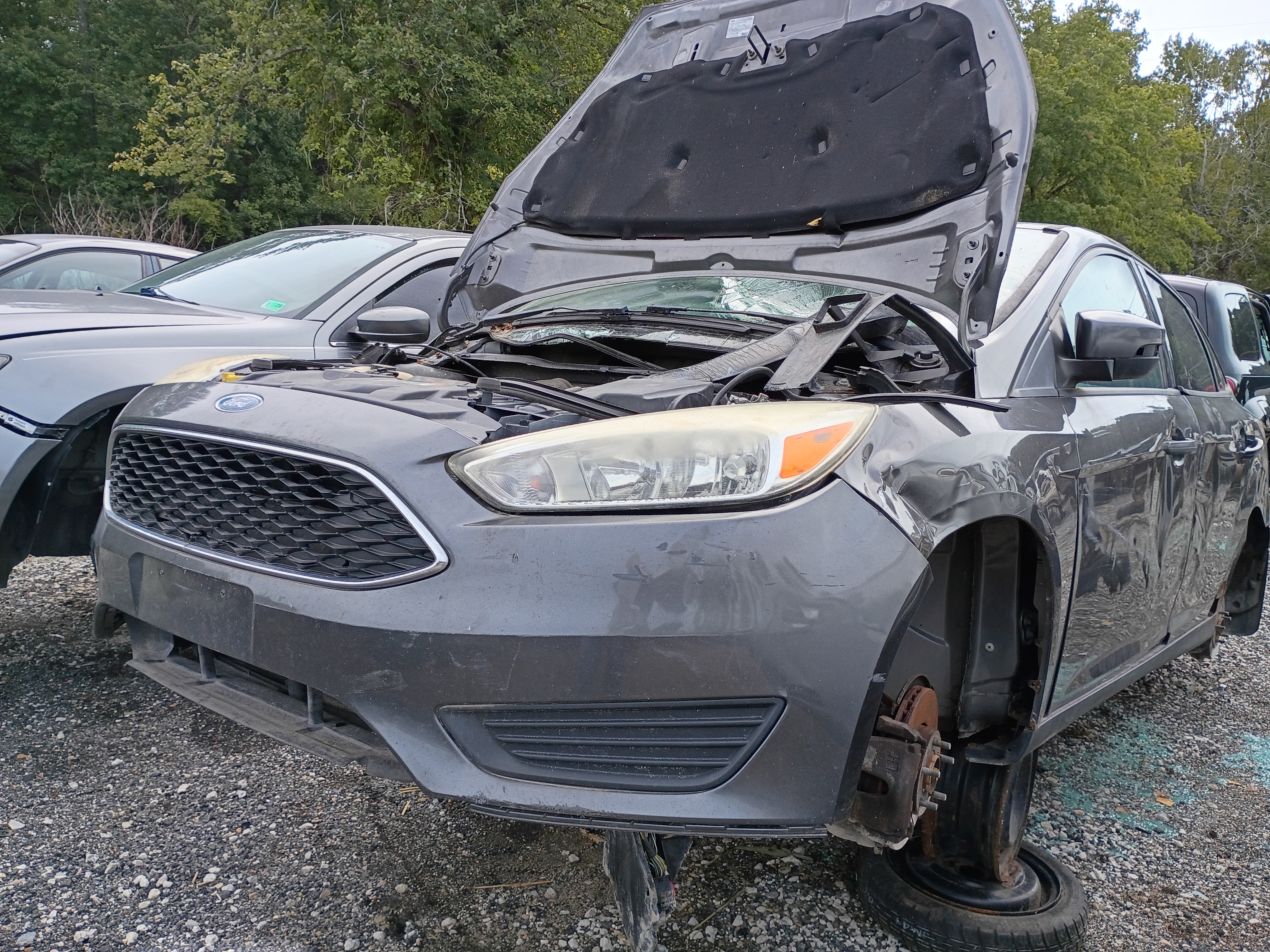 2016 FORD Focus