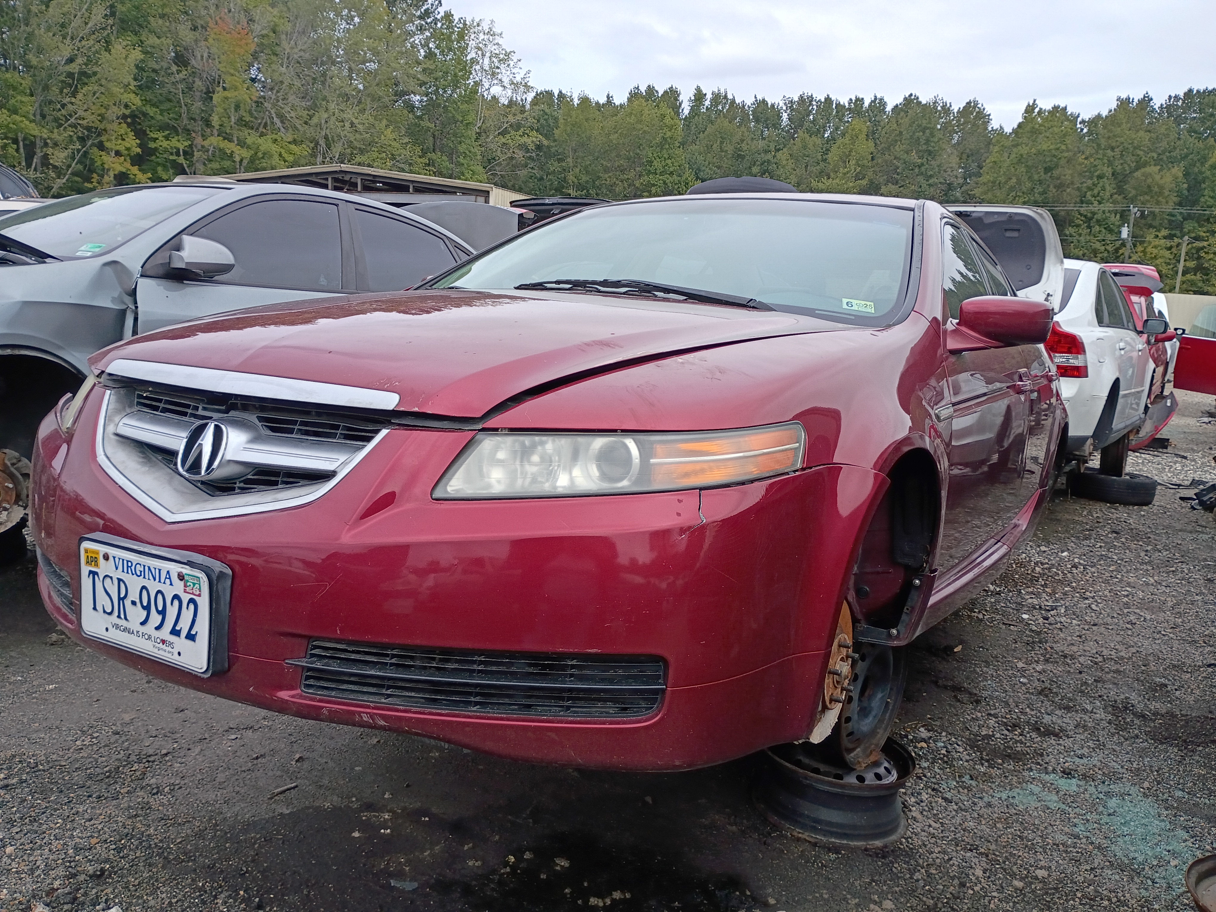 2005 ACURA Tl