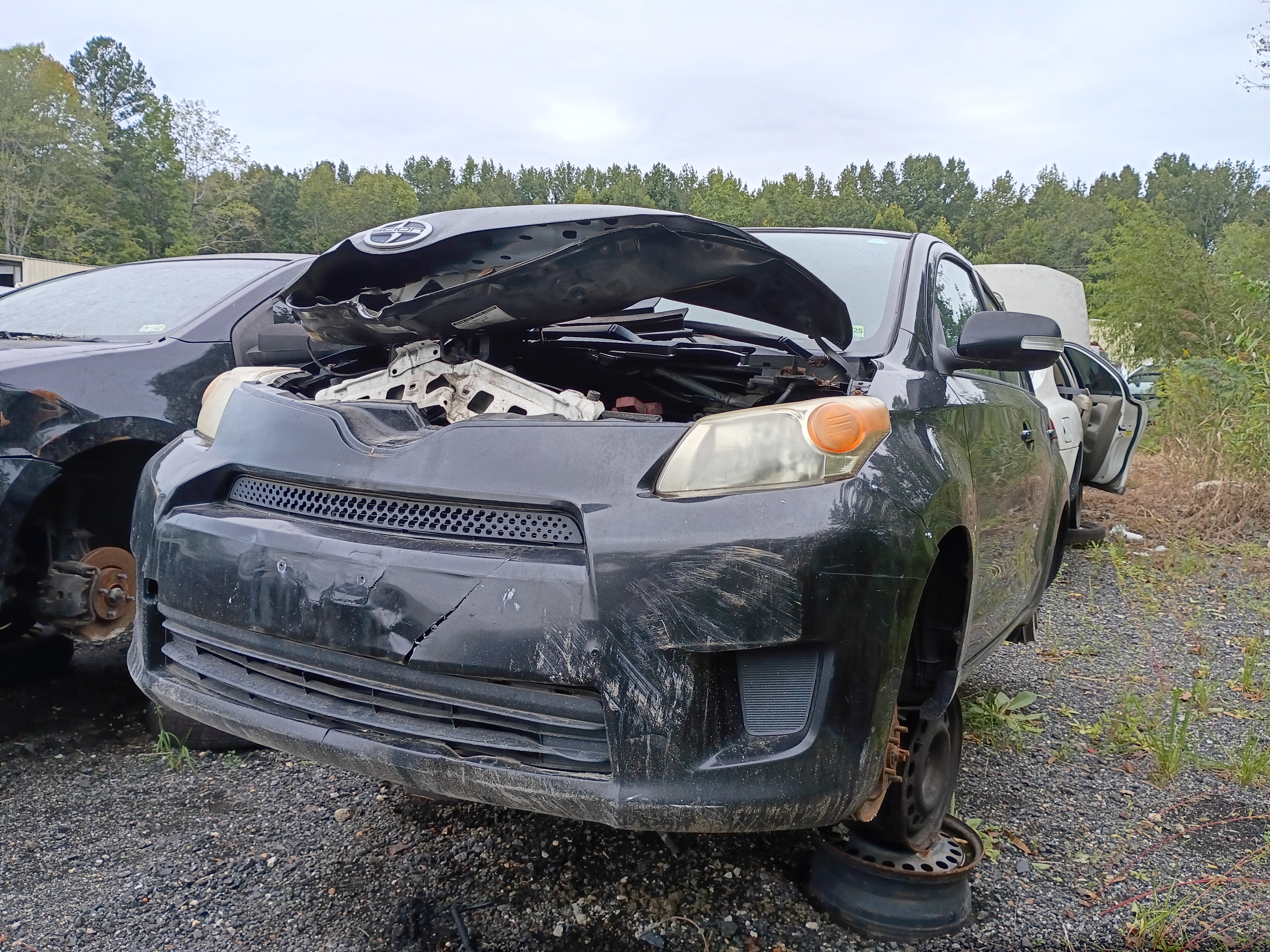 2009 TOYOTA Scion xD
