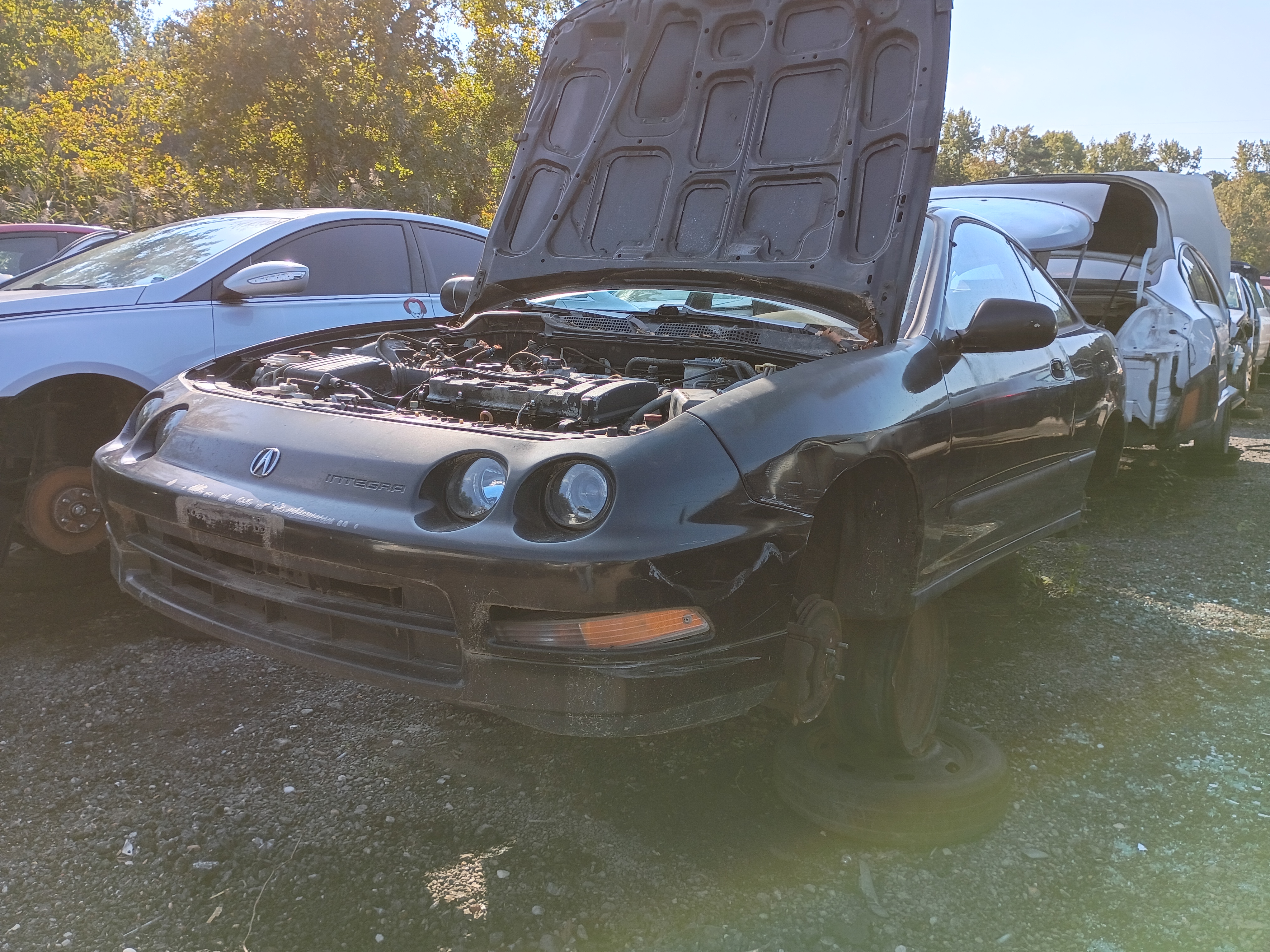1994 ACURA Integra