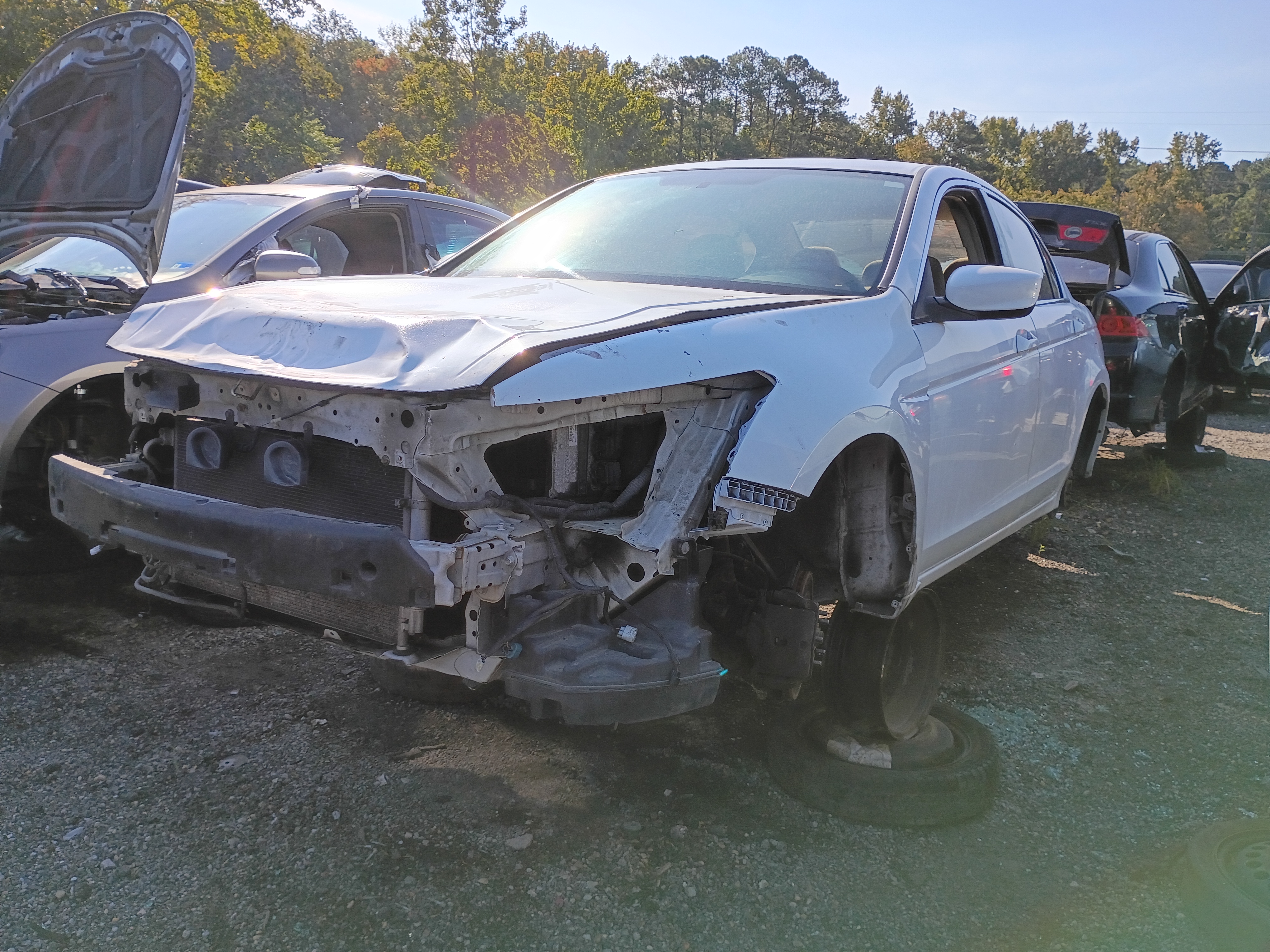 2008 HONDA Accord