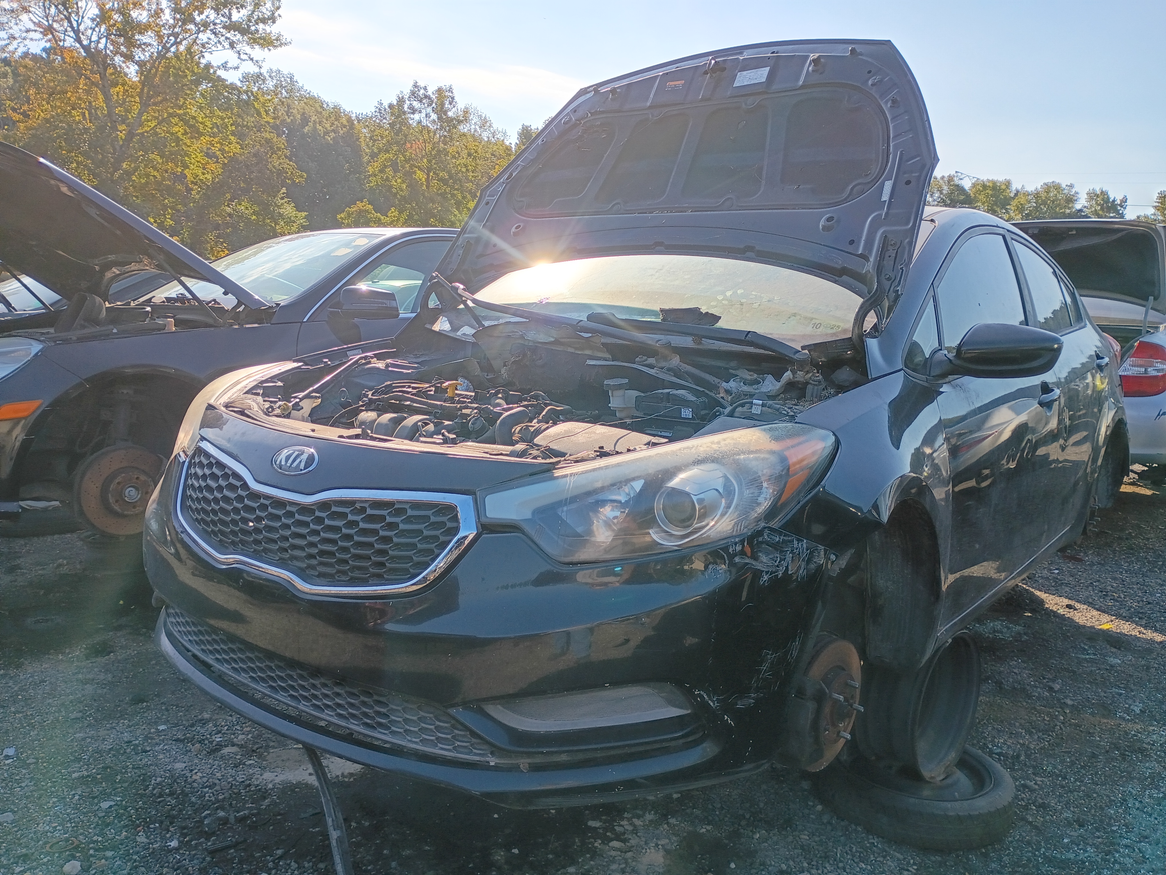2015 KIA Forte
