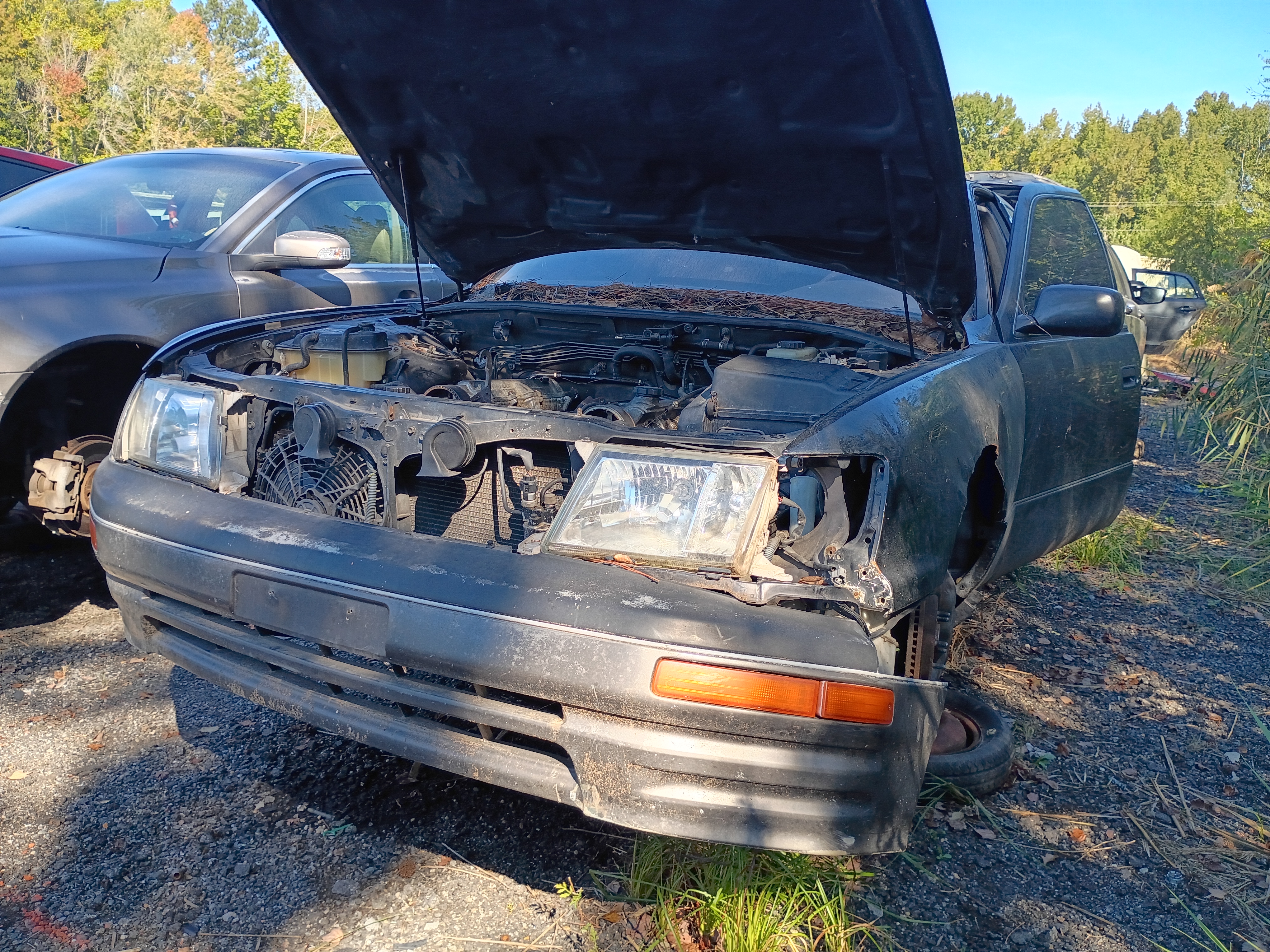 1995 LEXUS LS