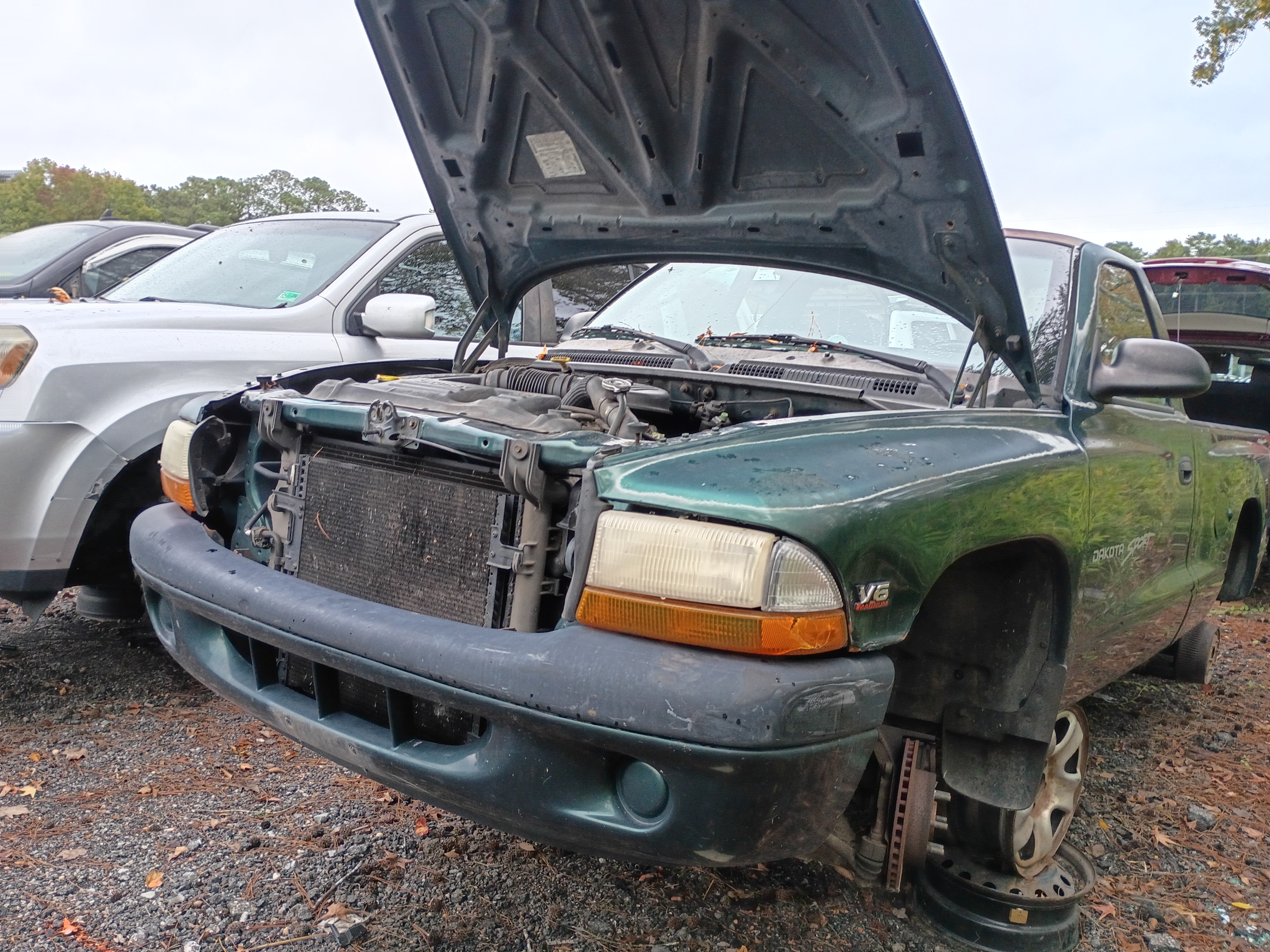 2000 DODGE Dakota
