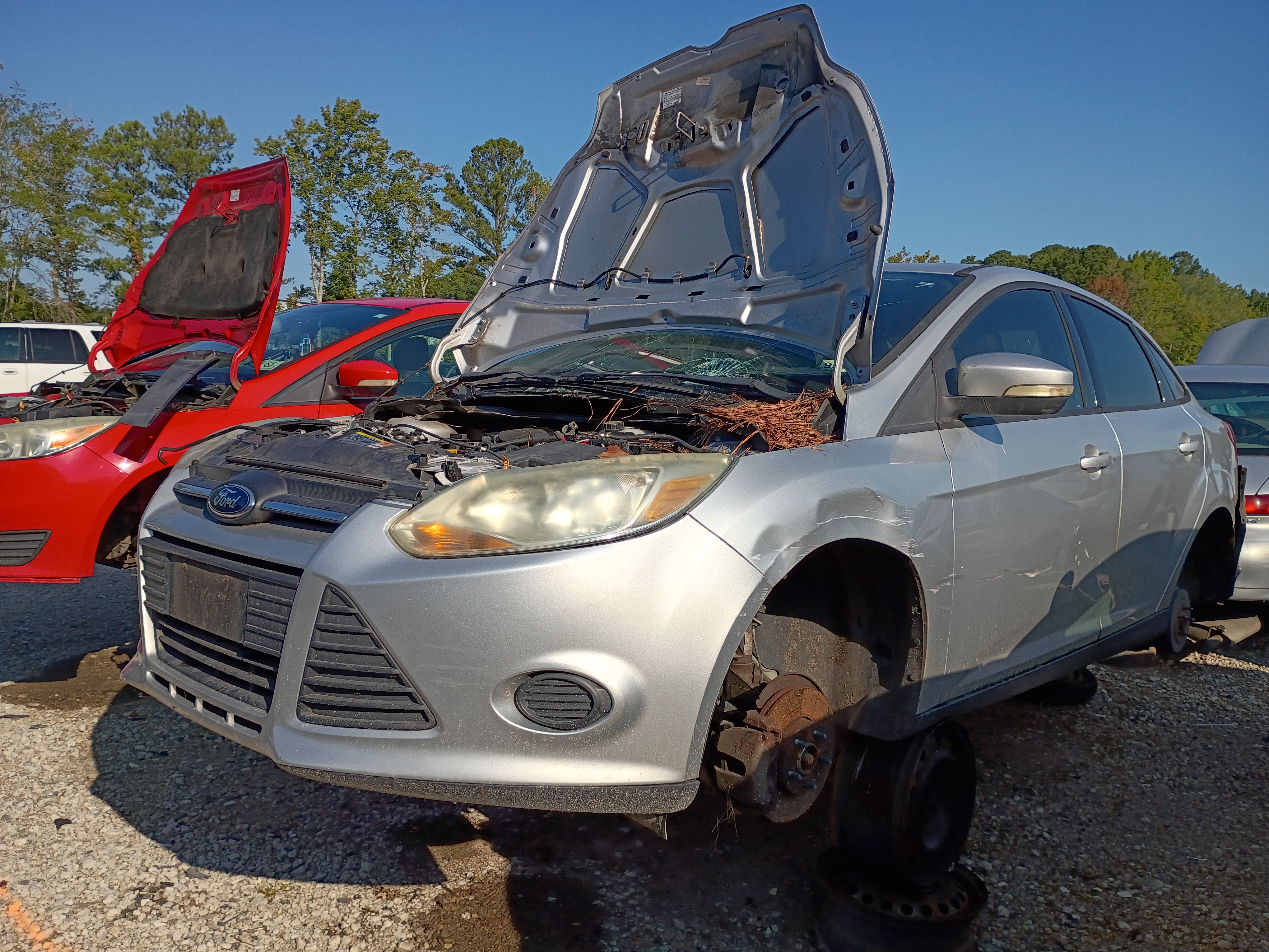 2013 FORD Focus