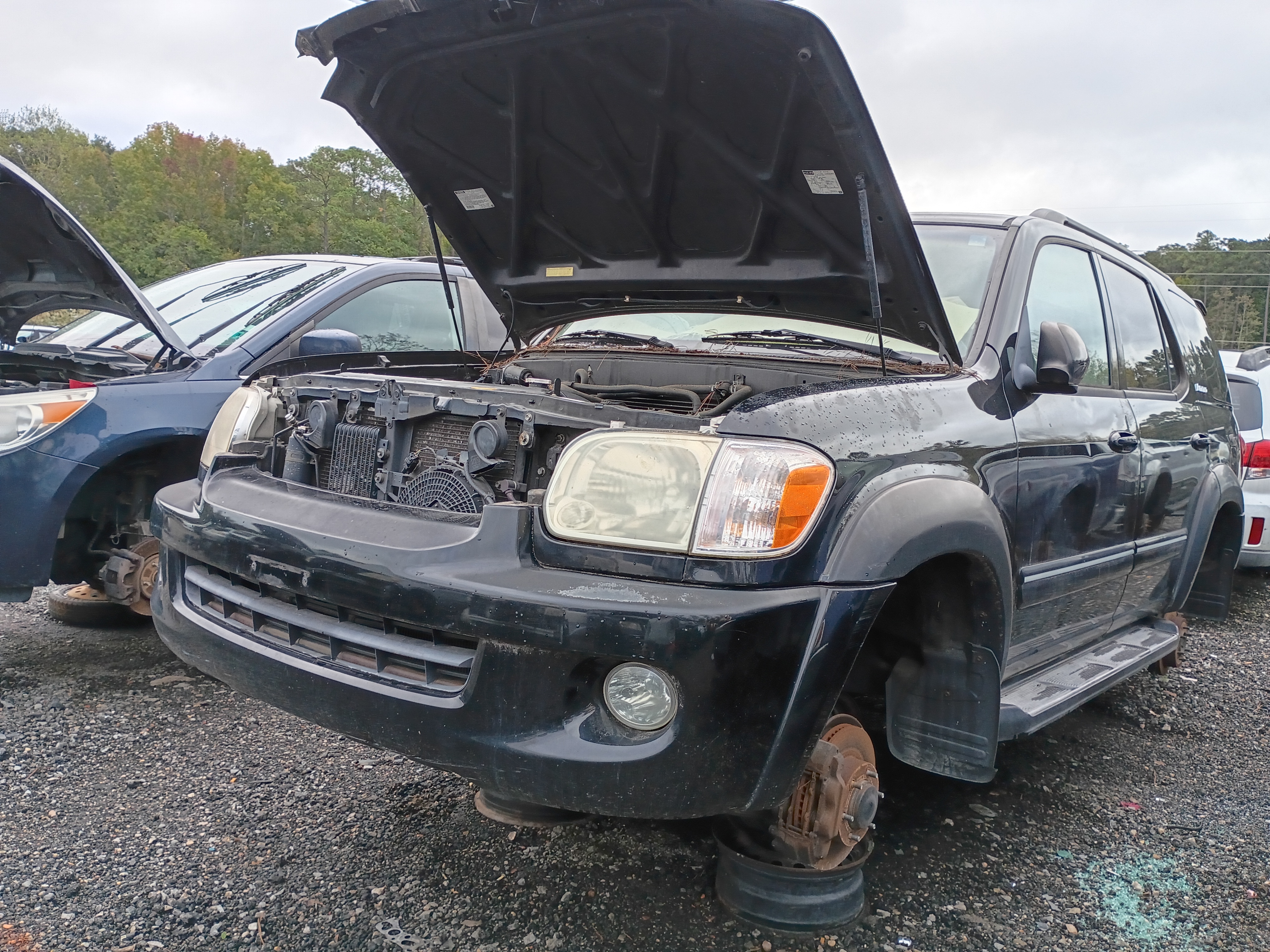 2005 TOYOTA Sequoia
