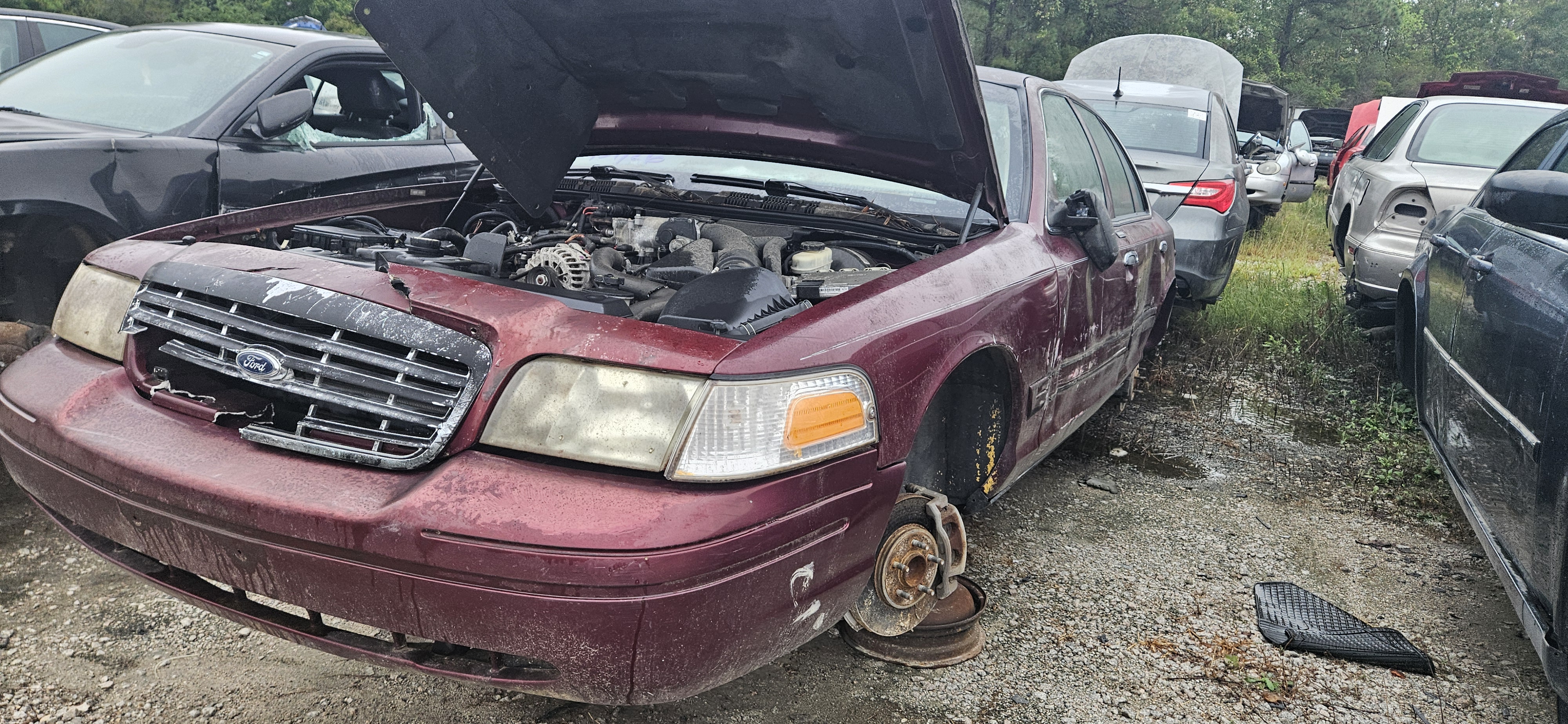2007 FORD Crown Victoria