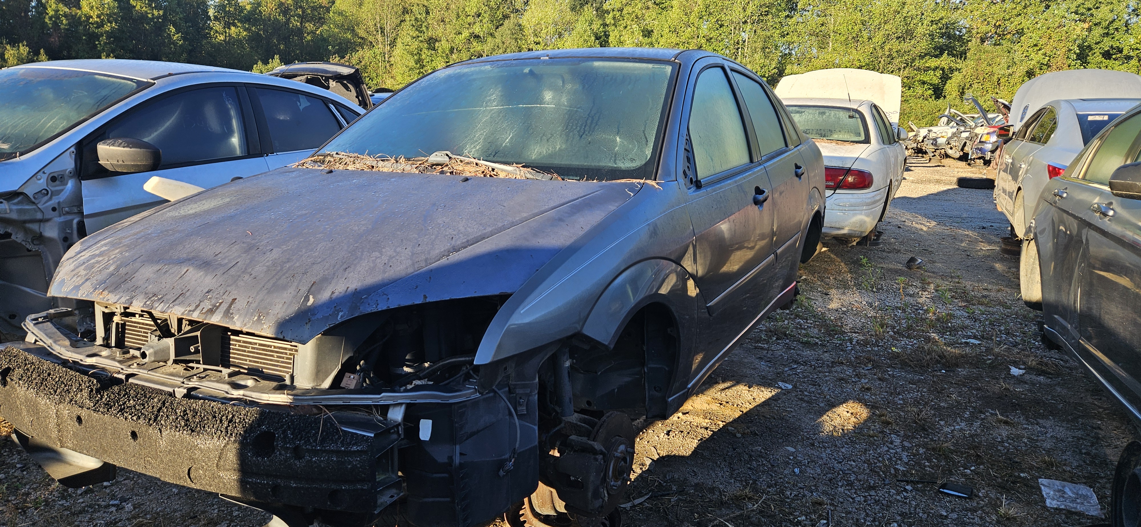 2005 FORD Focus