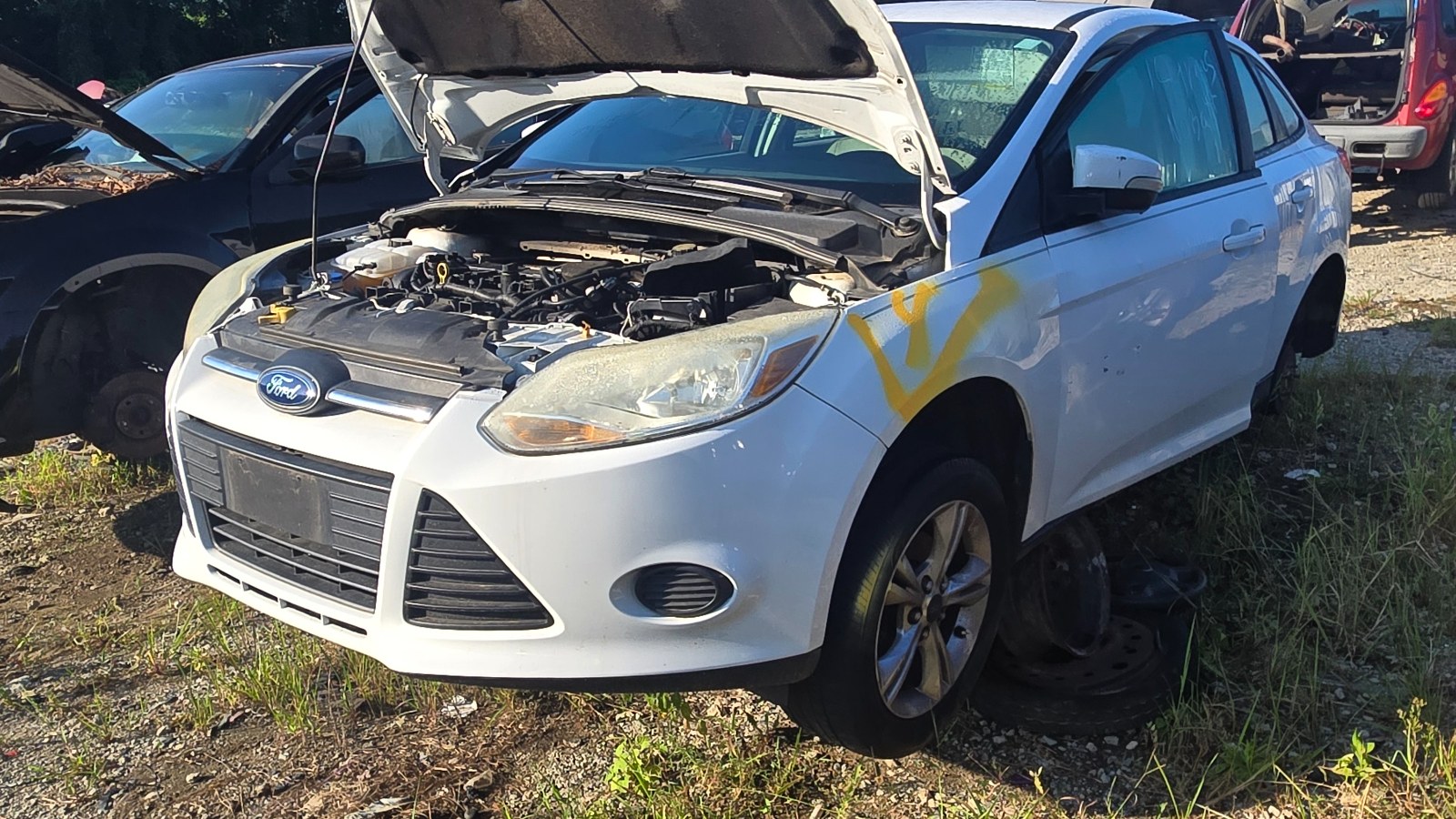 2014 FORD Focus
