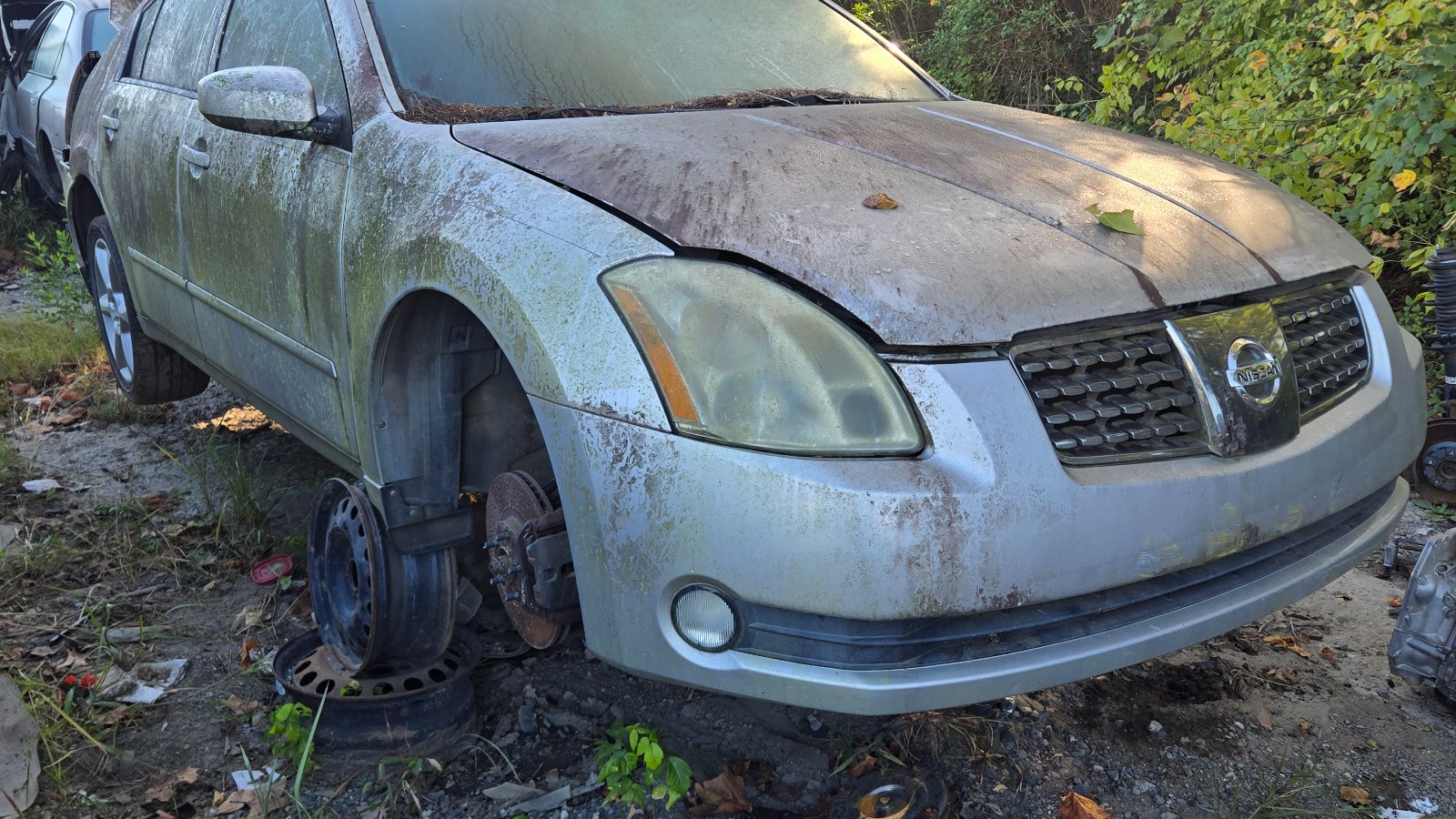 2004 NISSAN Maxima