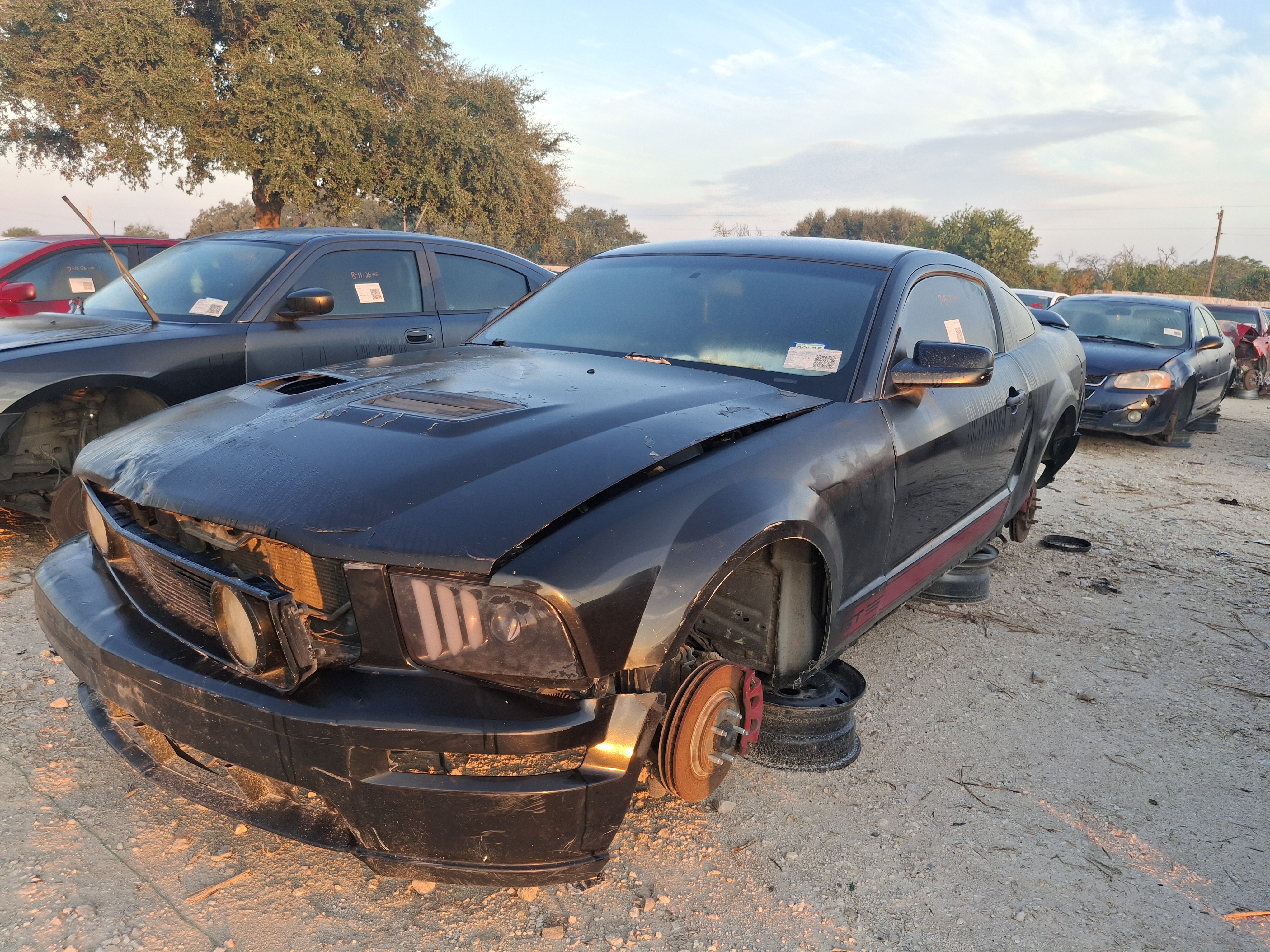 2007 FORD Mustang