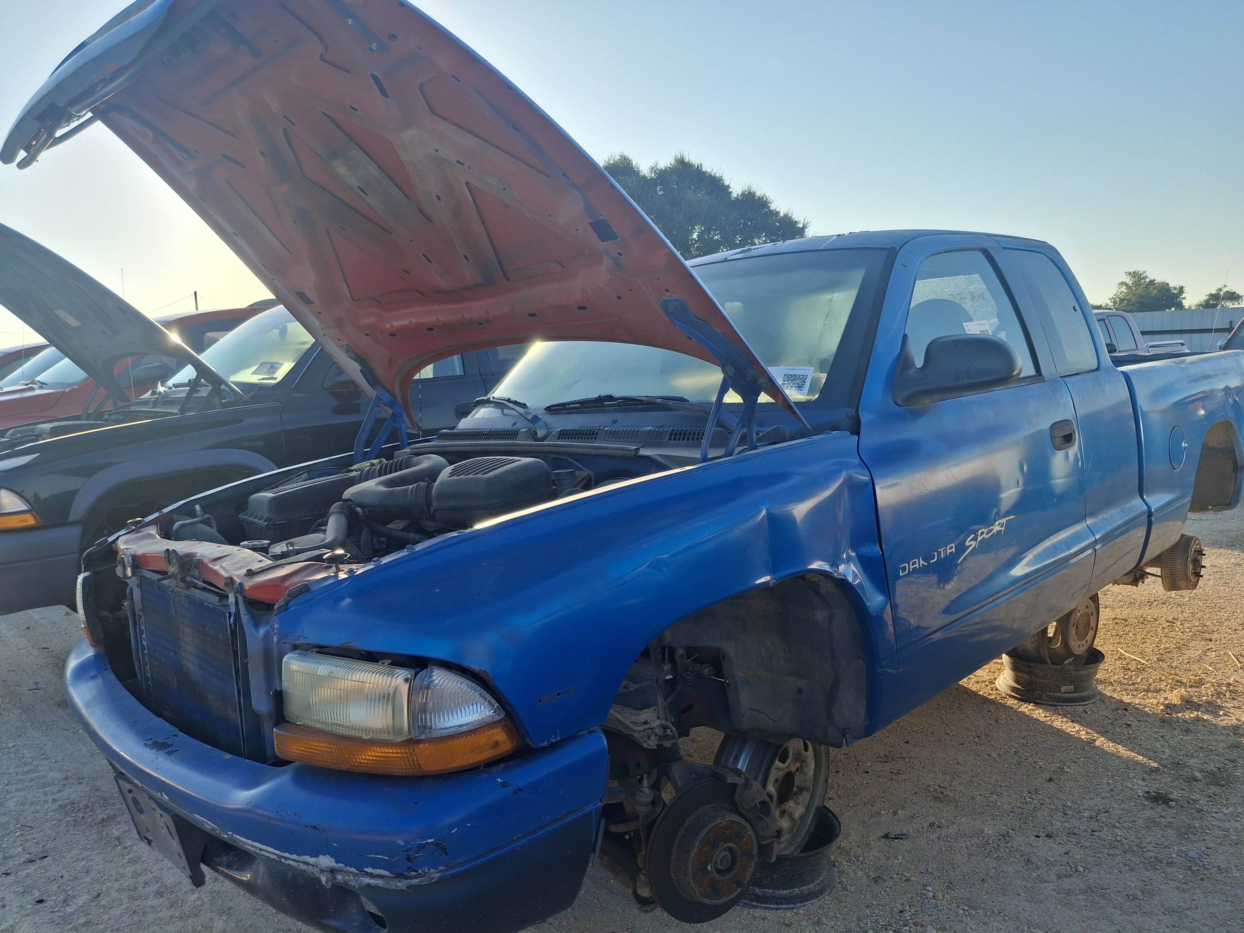 1998 DODGE Dakota