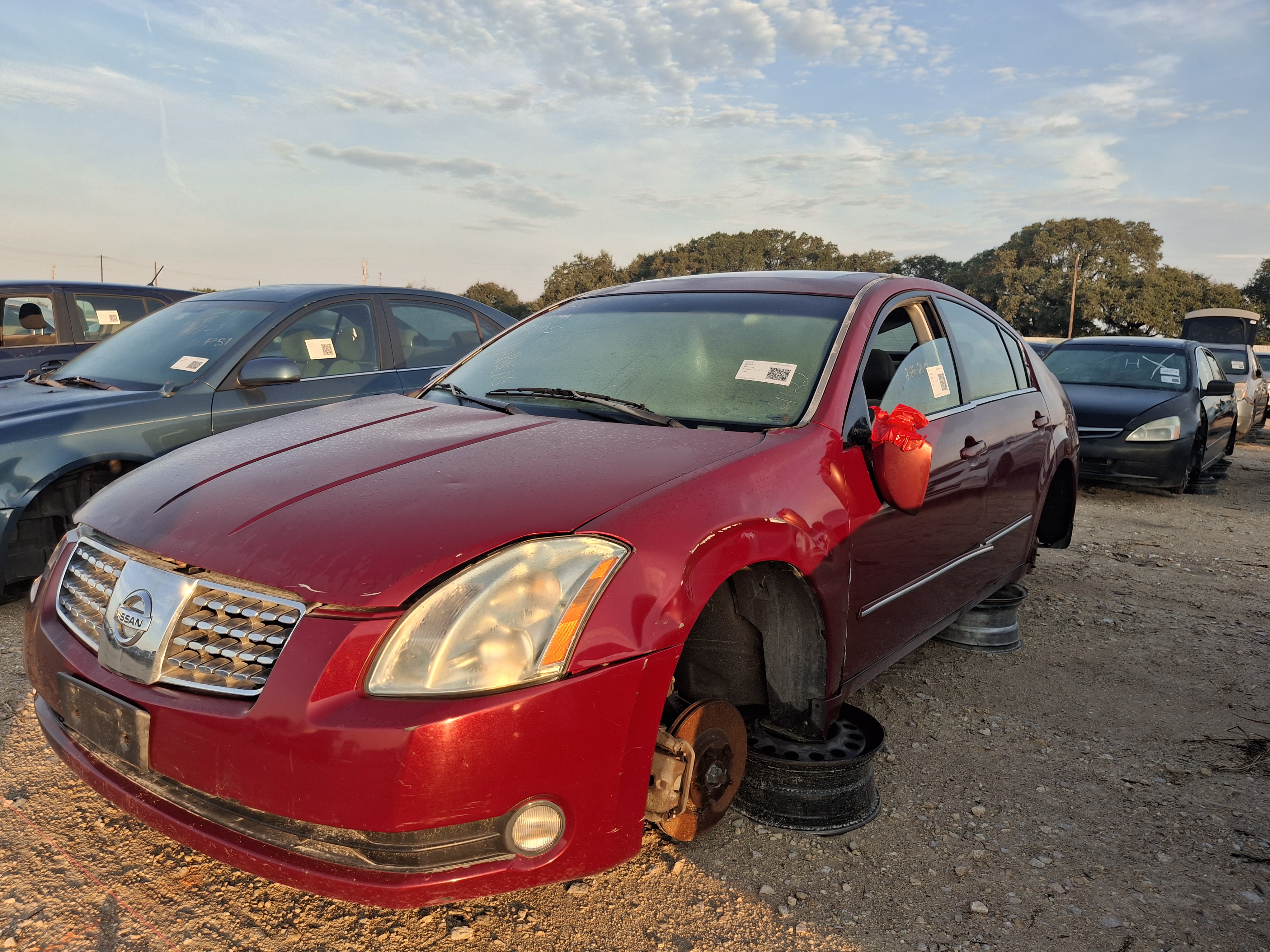 2005 NISSAN Maxima