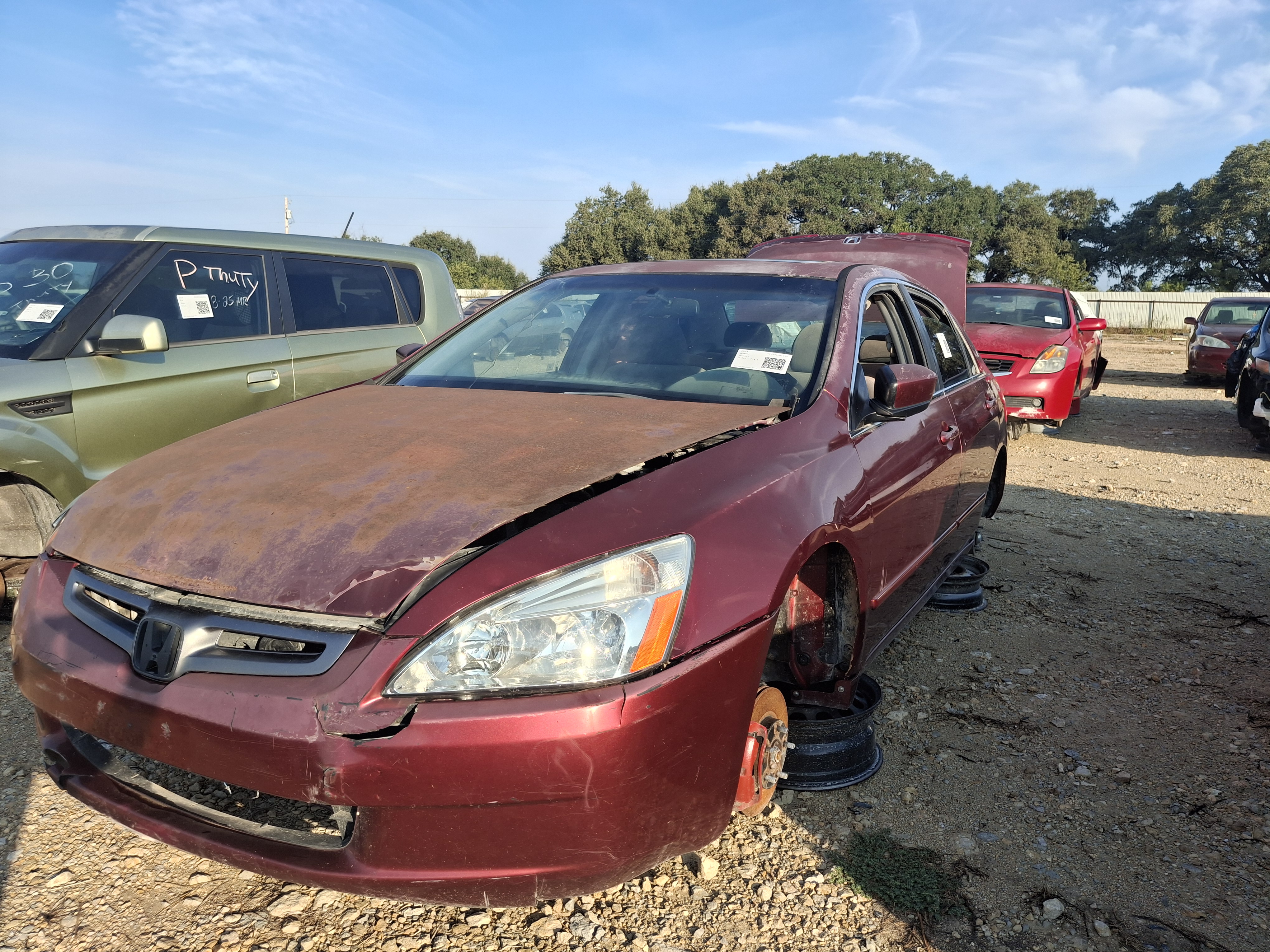 2004 HONDA Accord