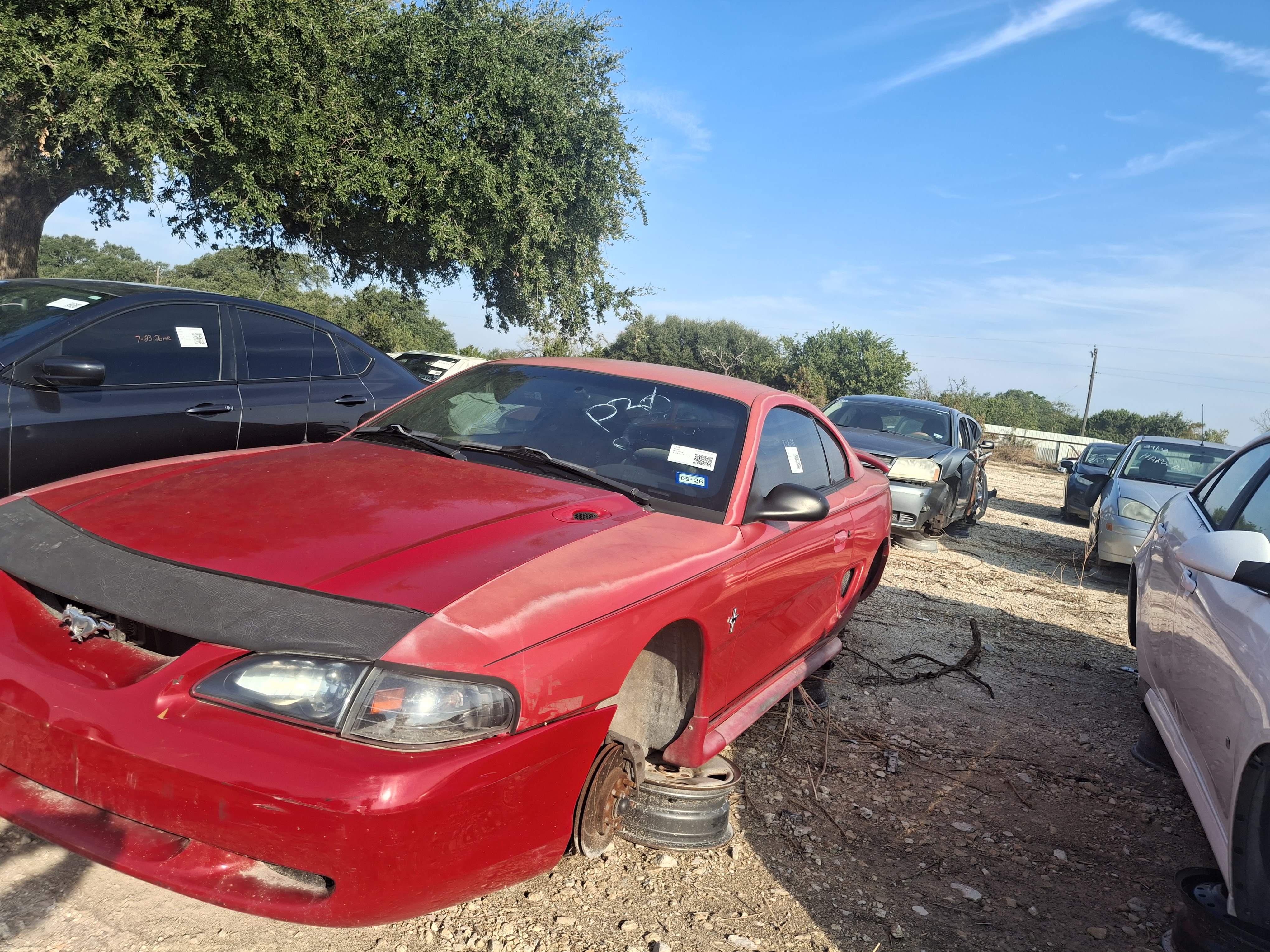 1998 FORD Mustang