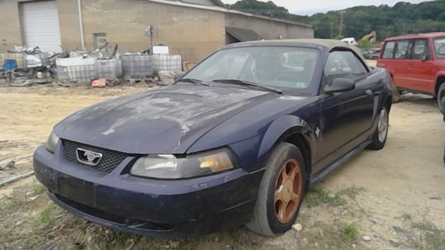 2001 FORD Mustang