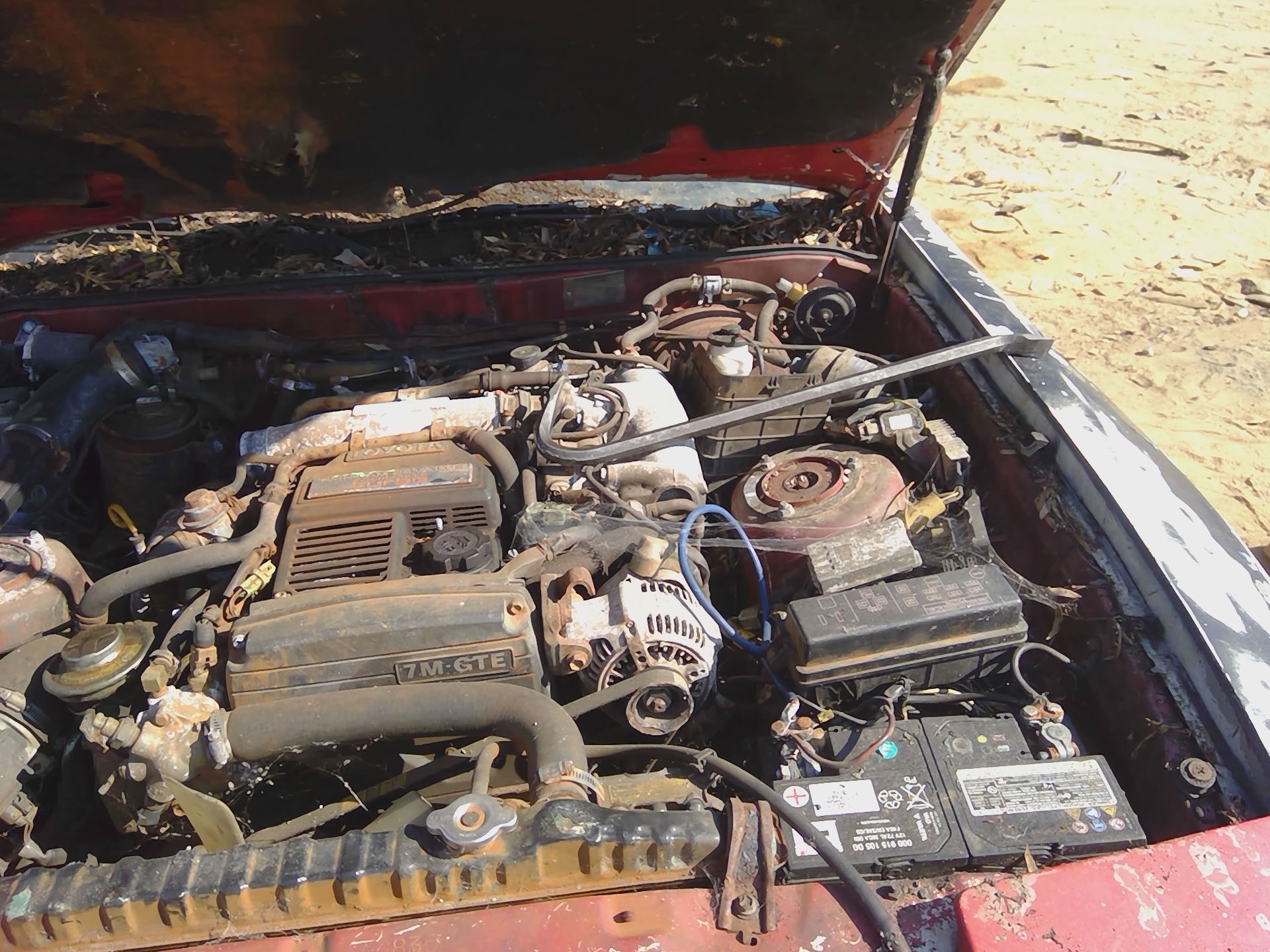 1988 TOYOTA Supra