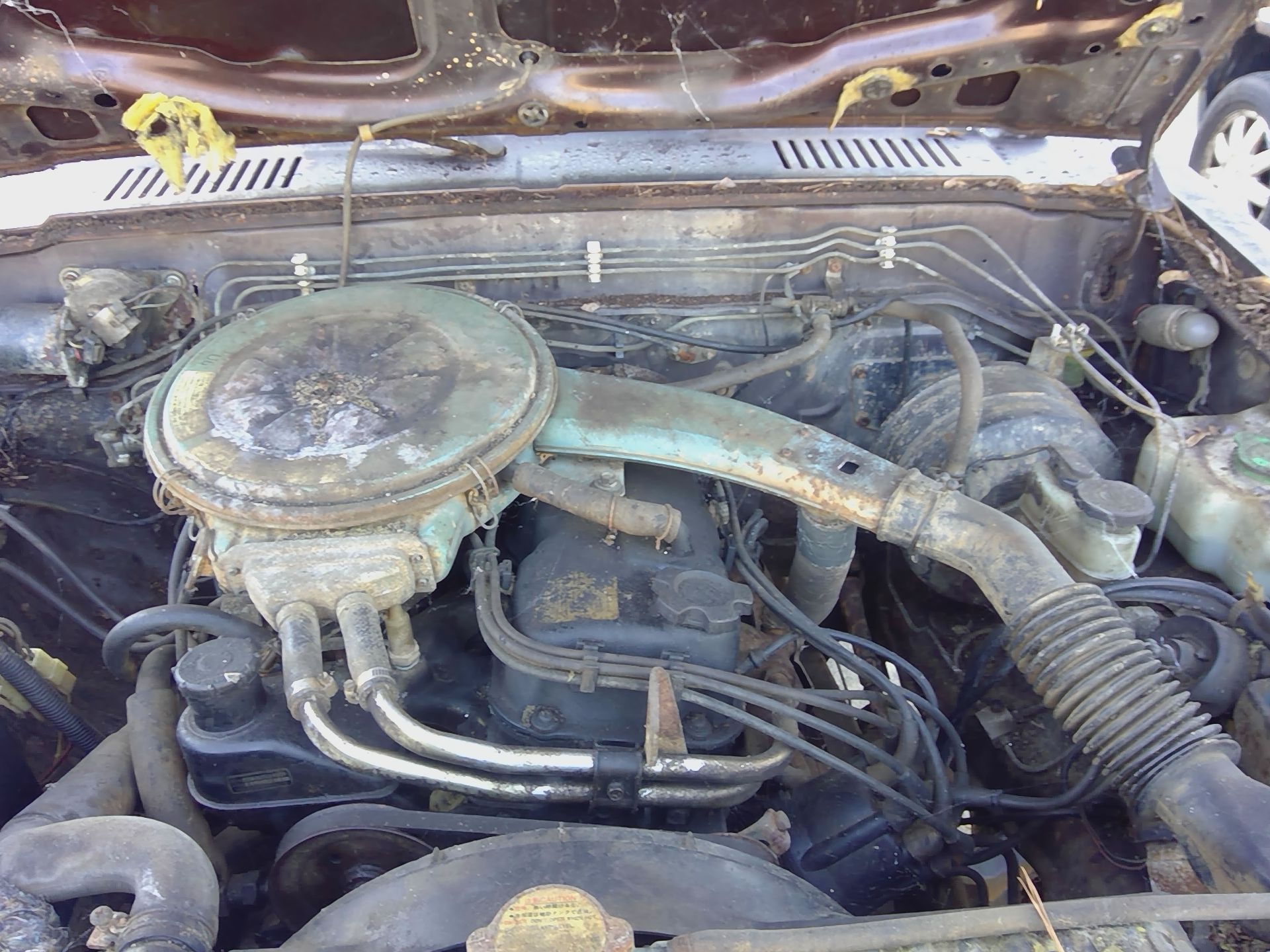 1983 NISSAN PICKUP Nispu