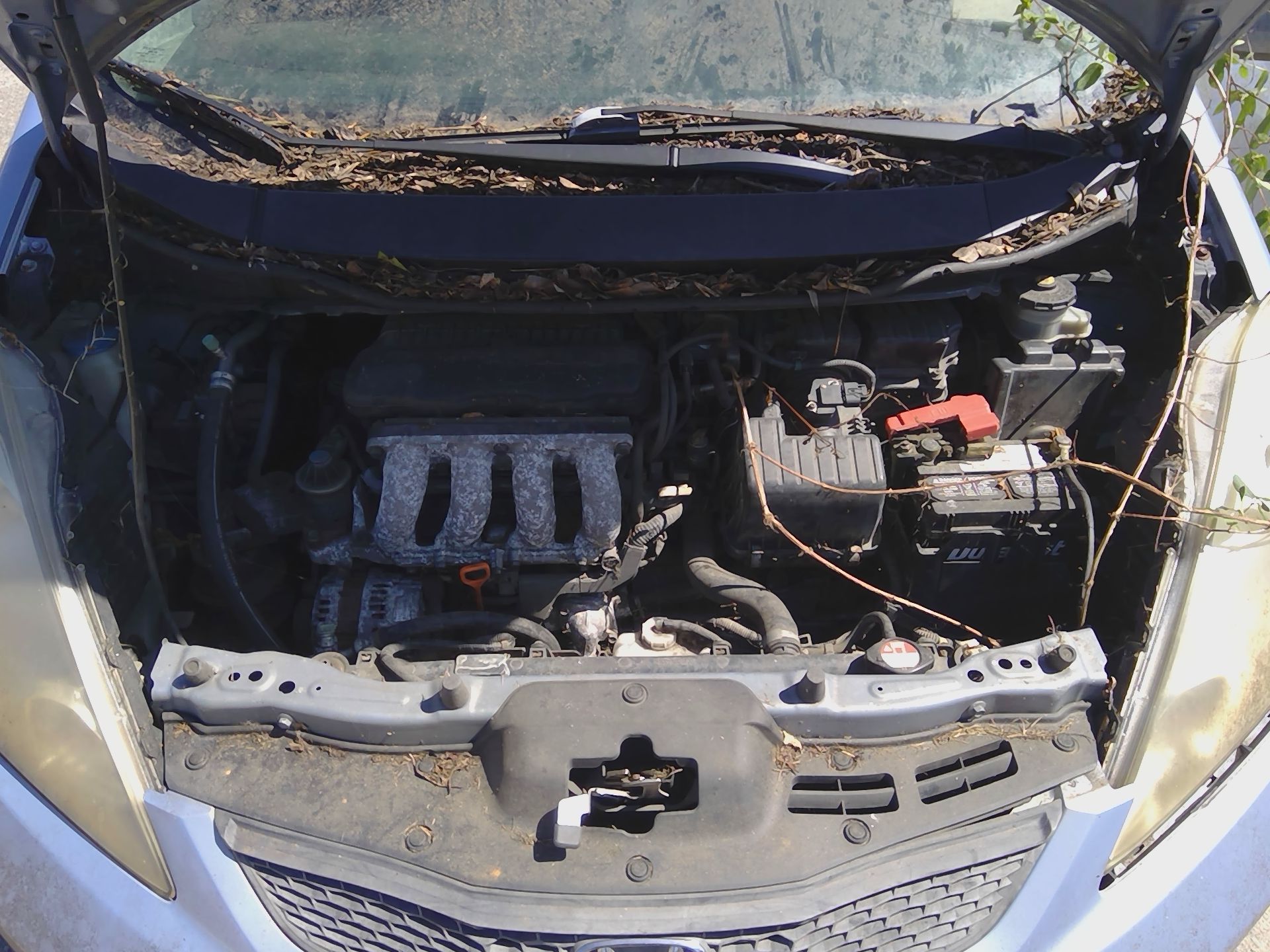 2010 HONDA Fit