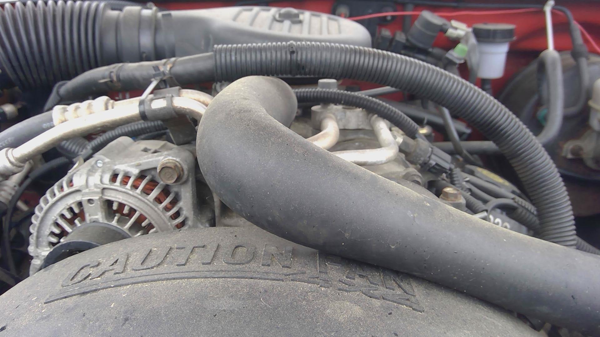 1999 DODGE Dakota