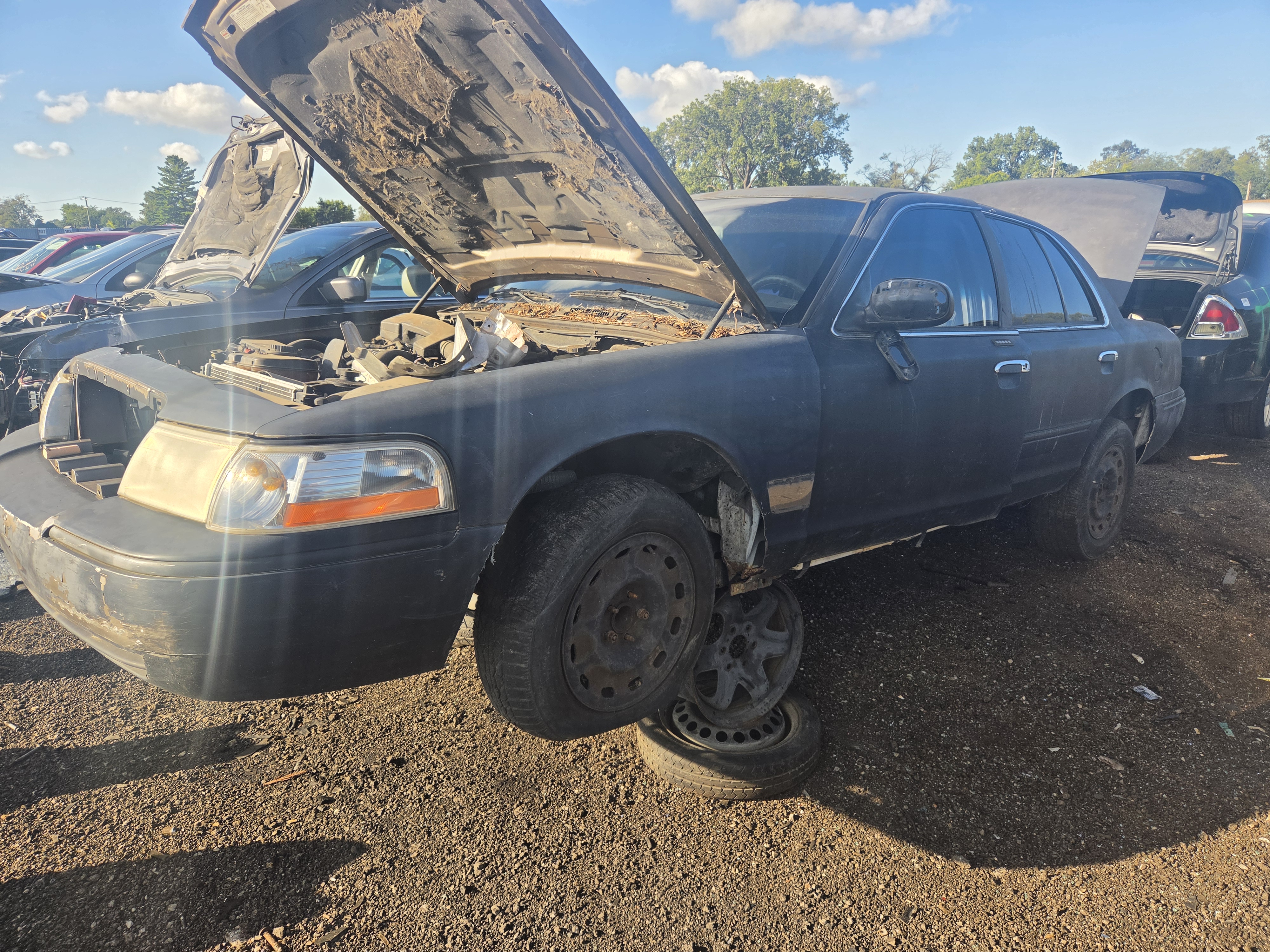 2004 MERCURY Grand Marquis