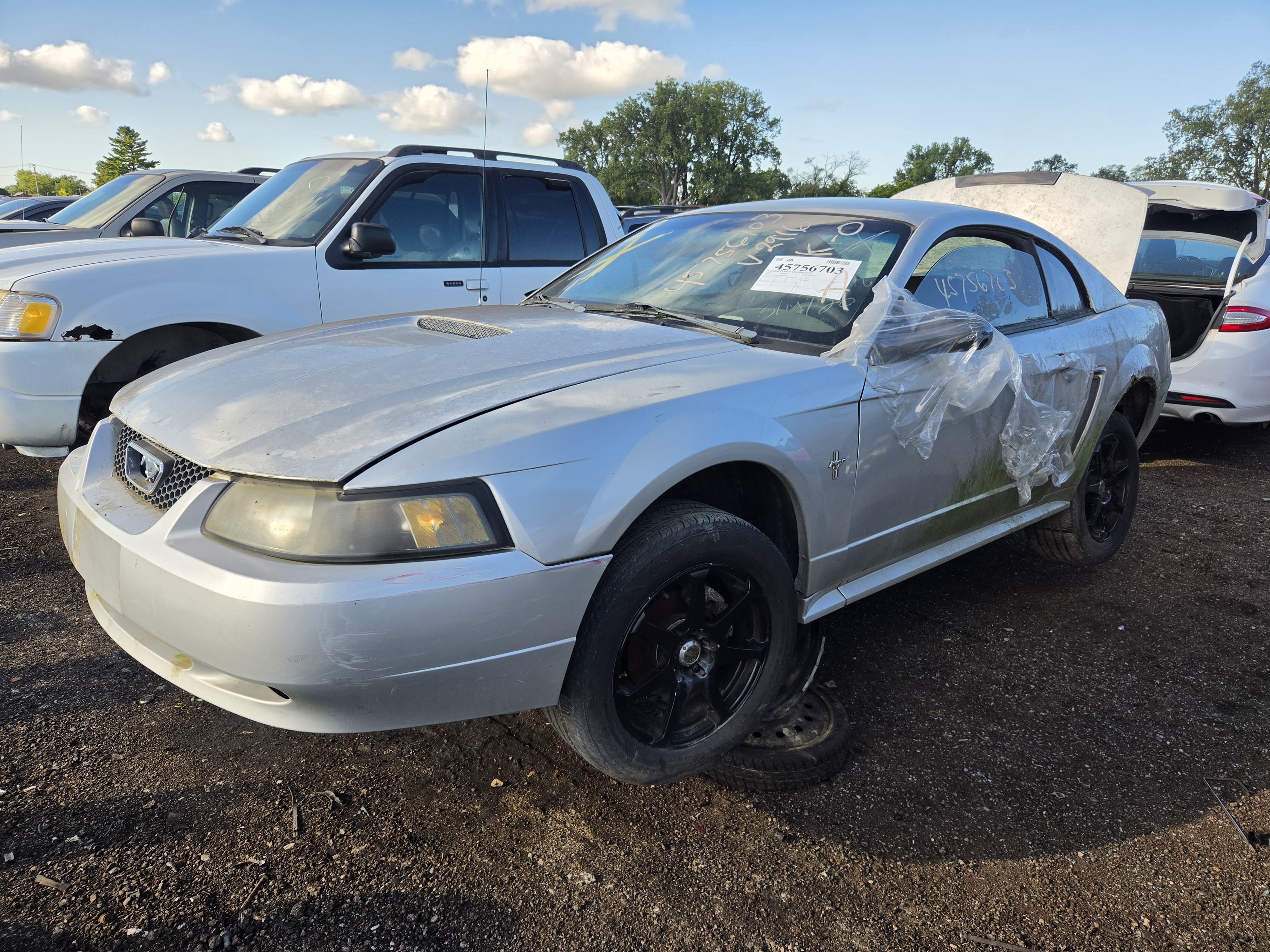 2002 Mustang