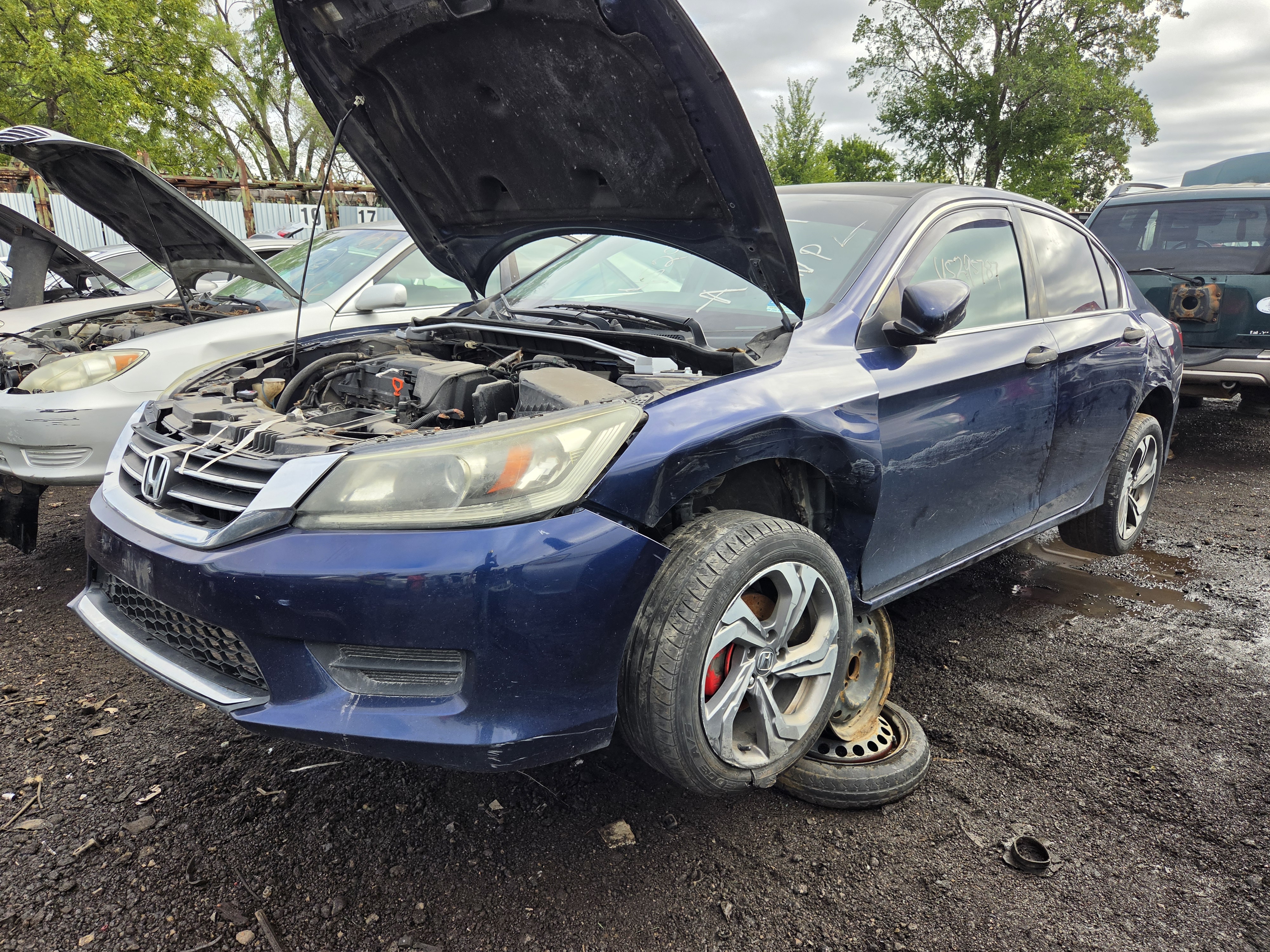 2015 HONDA Accord