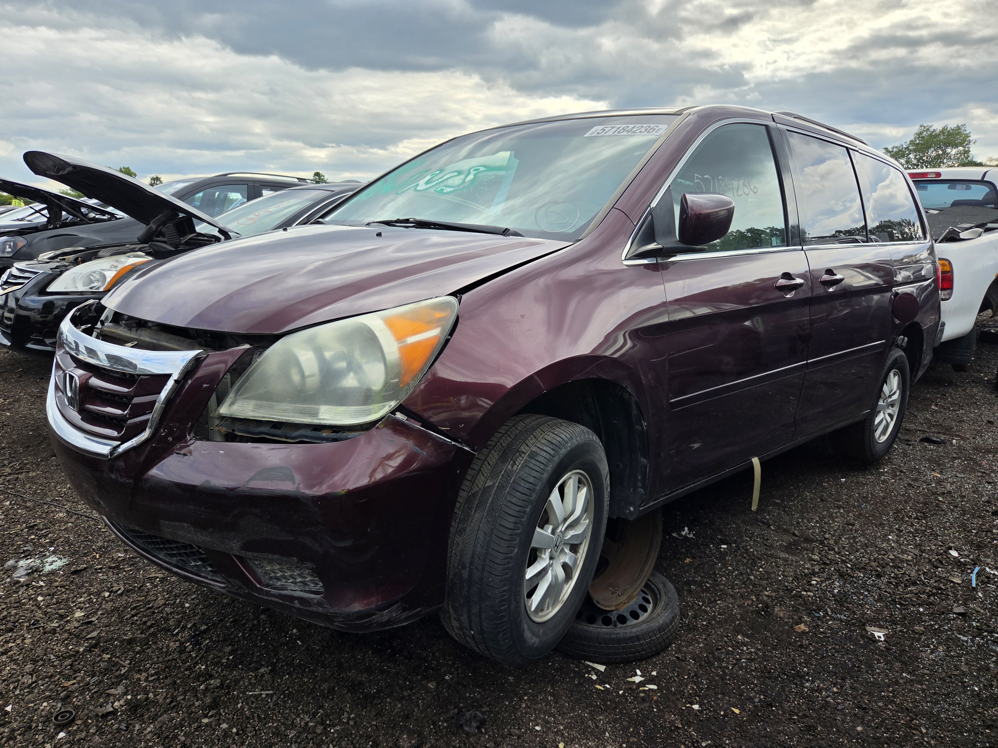 2010 HONDA Odyssey