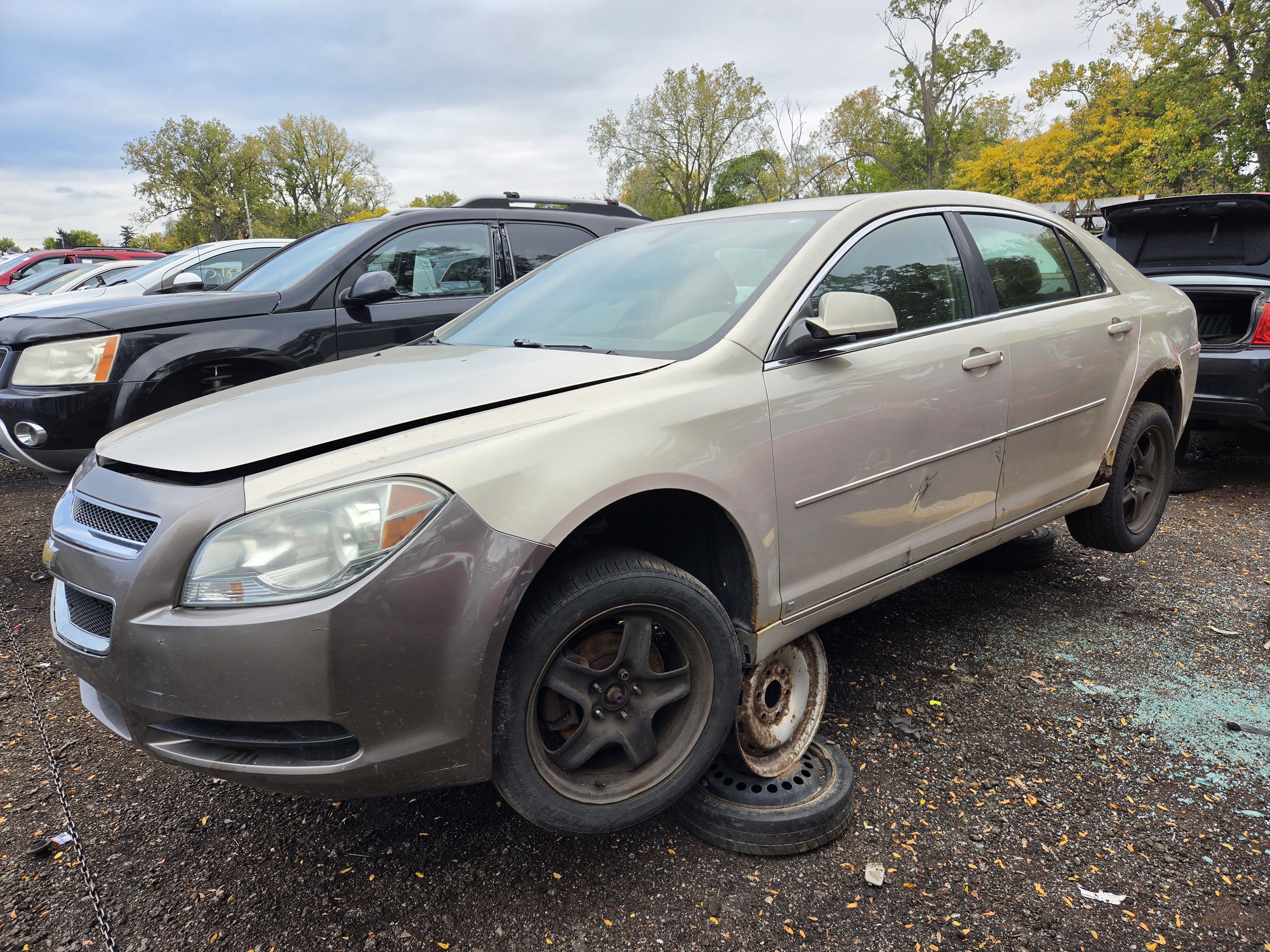 2010 CHEVROLET Malibu